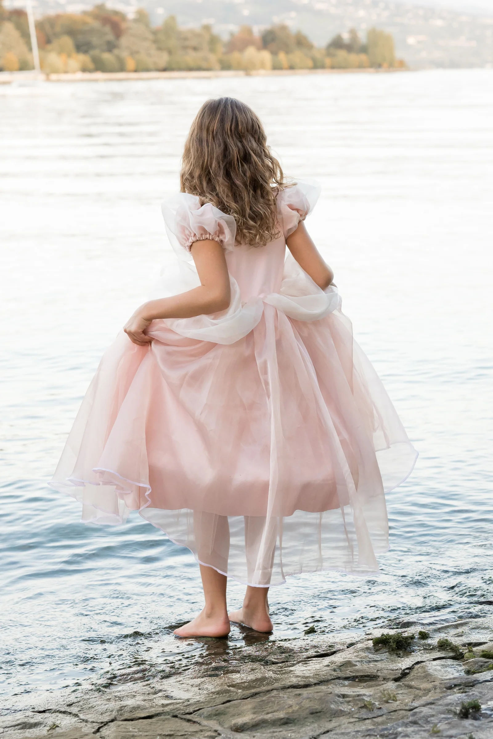 Antique Princess Gown - Image 2