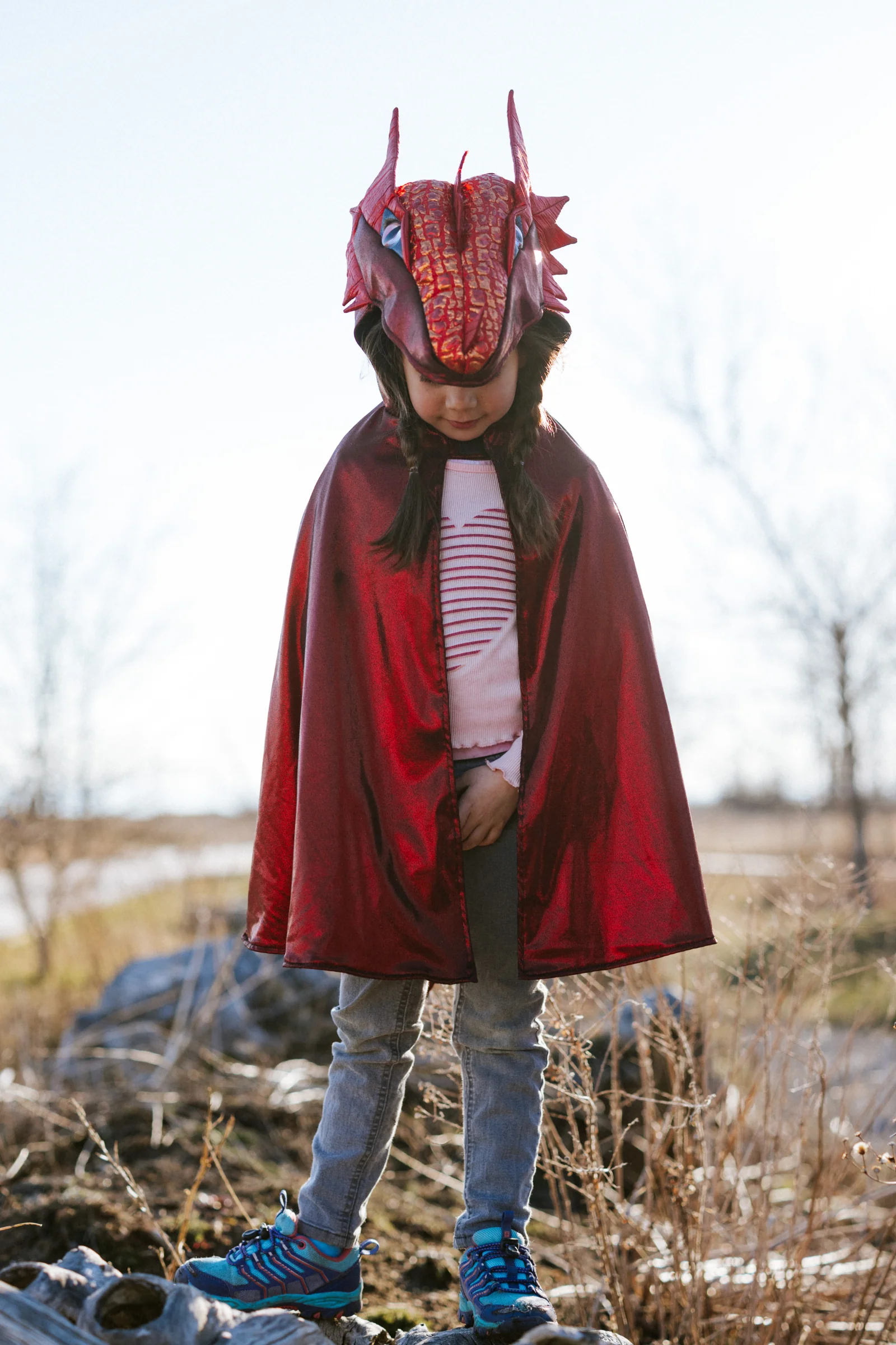Metallic Dragon Cape - Image 6