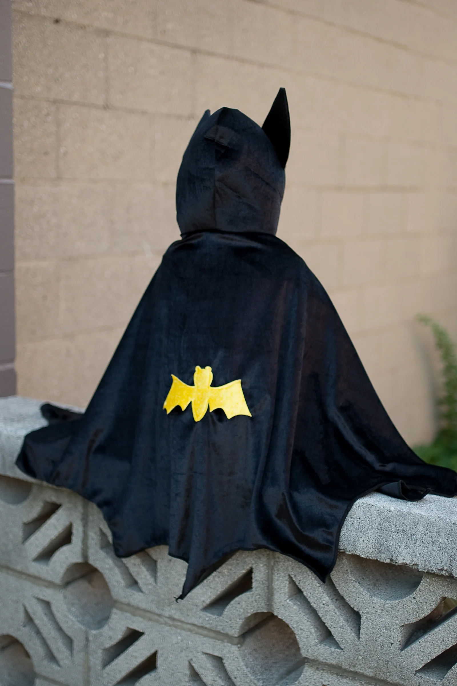 Bat Cape with Hood - Image 3