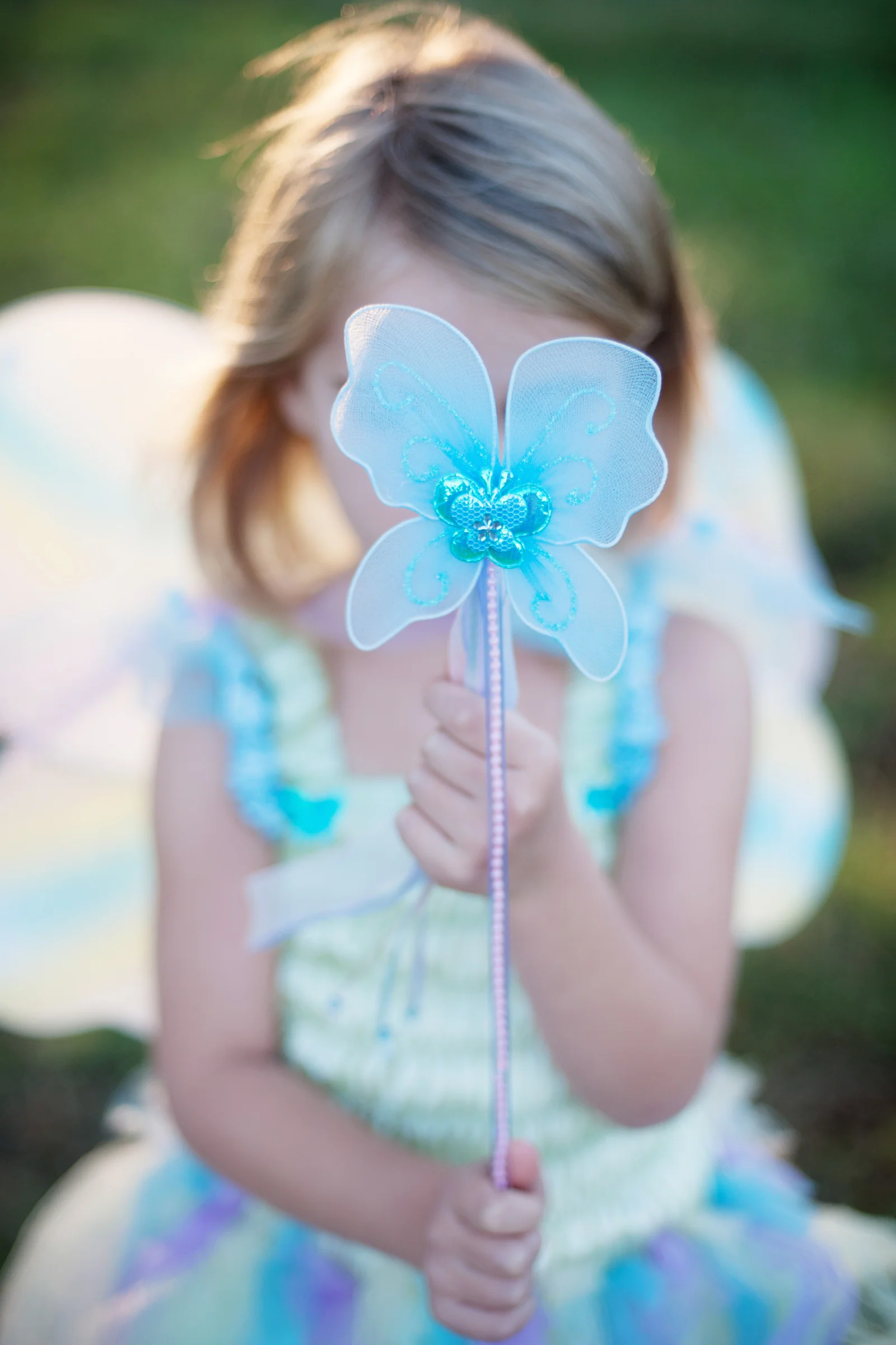 Butterfly Dress & Wings with Wand - Image 4