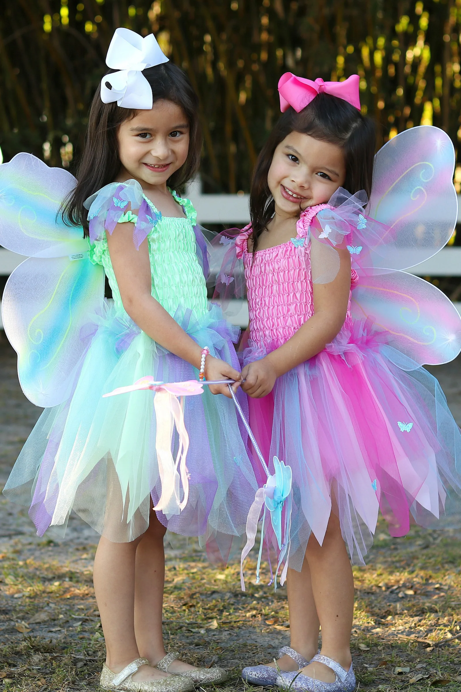 Butterfly Dress & Wings with Wand - Image 2