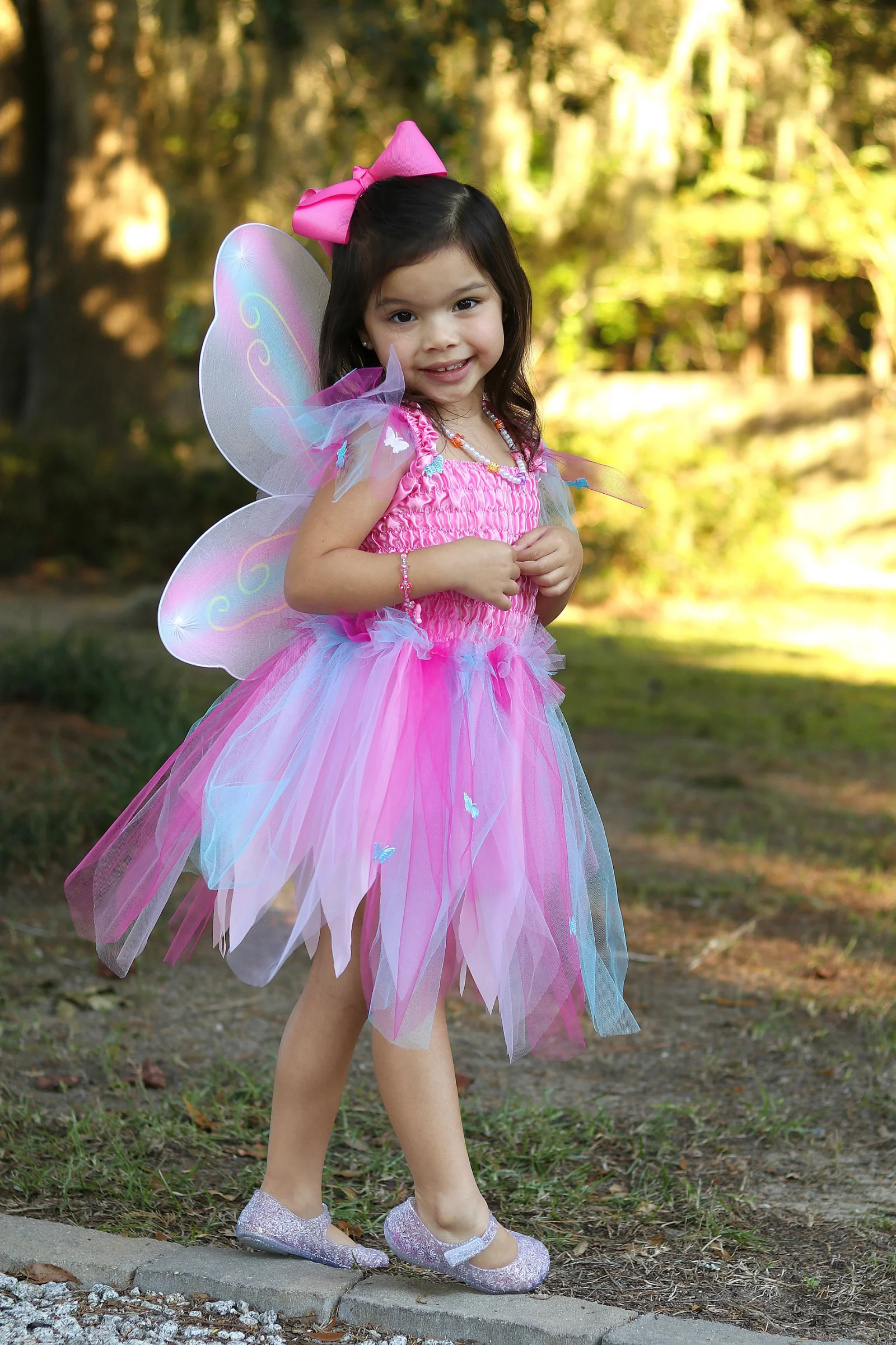 Butterfly Dress & Wings with Wand - Image 5