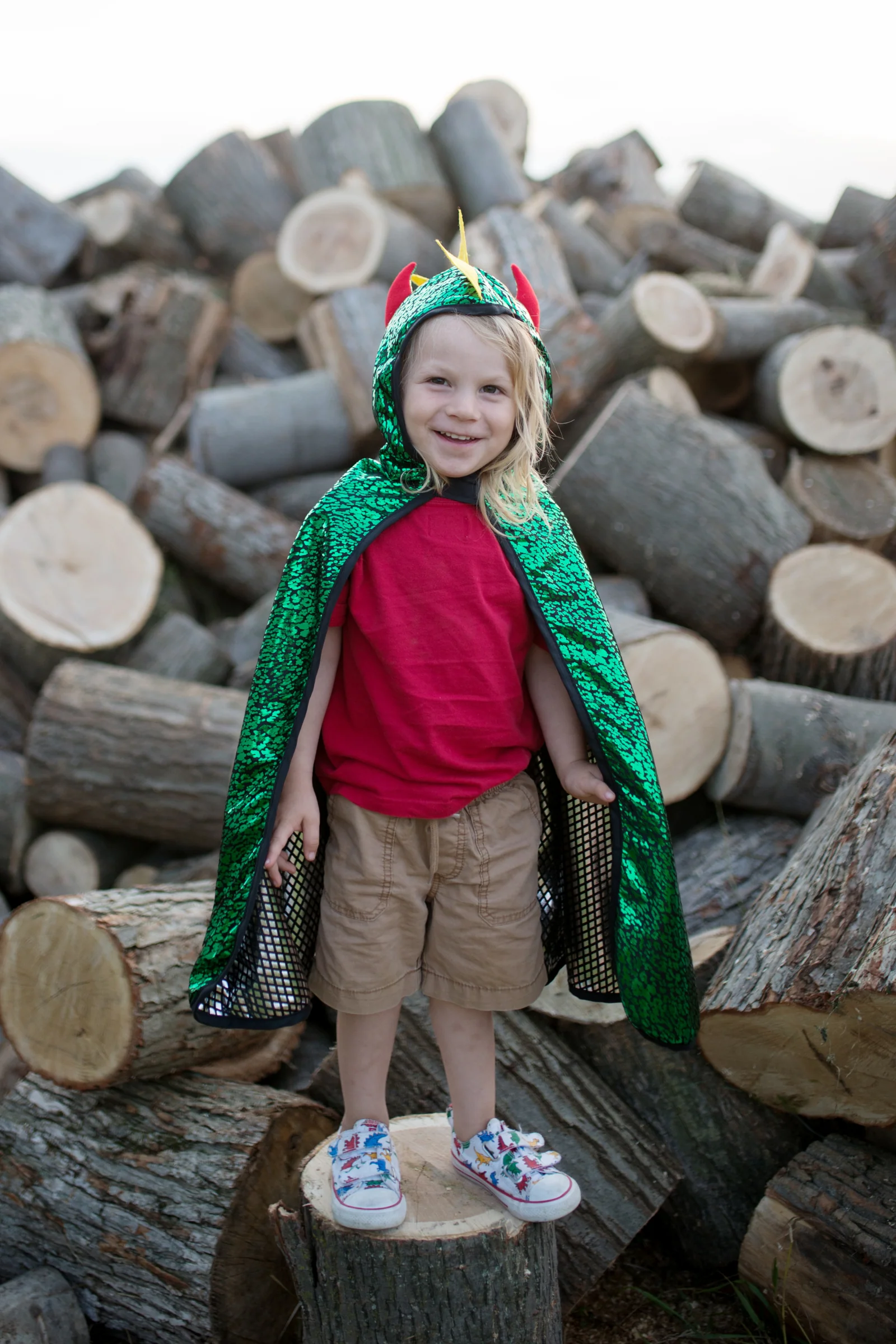 Dragon Knight Reversible Cape - Image 4