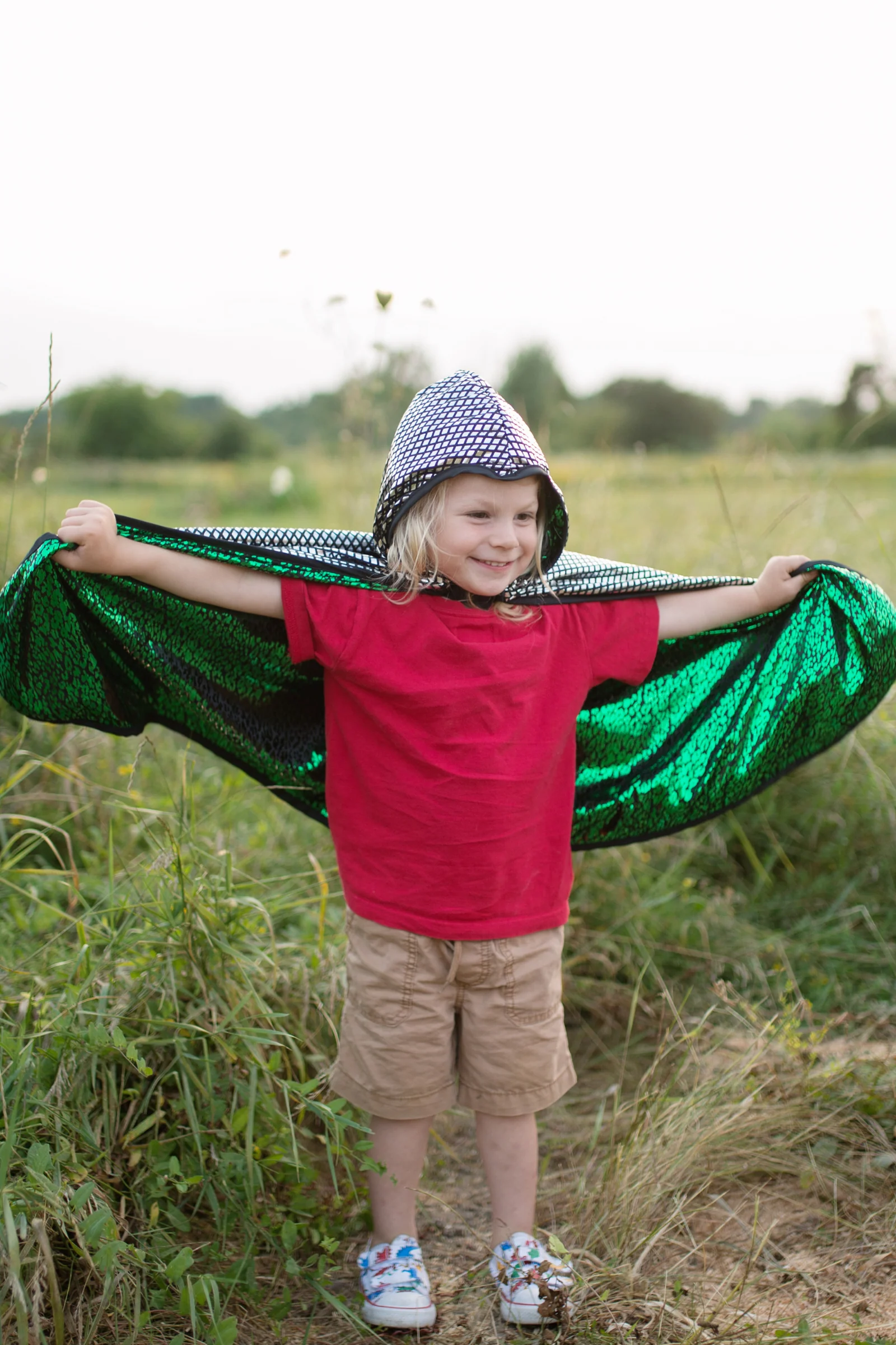 Dragon Knight Reversible Cape - Image 6