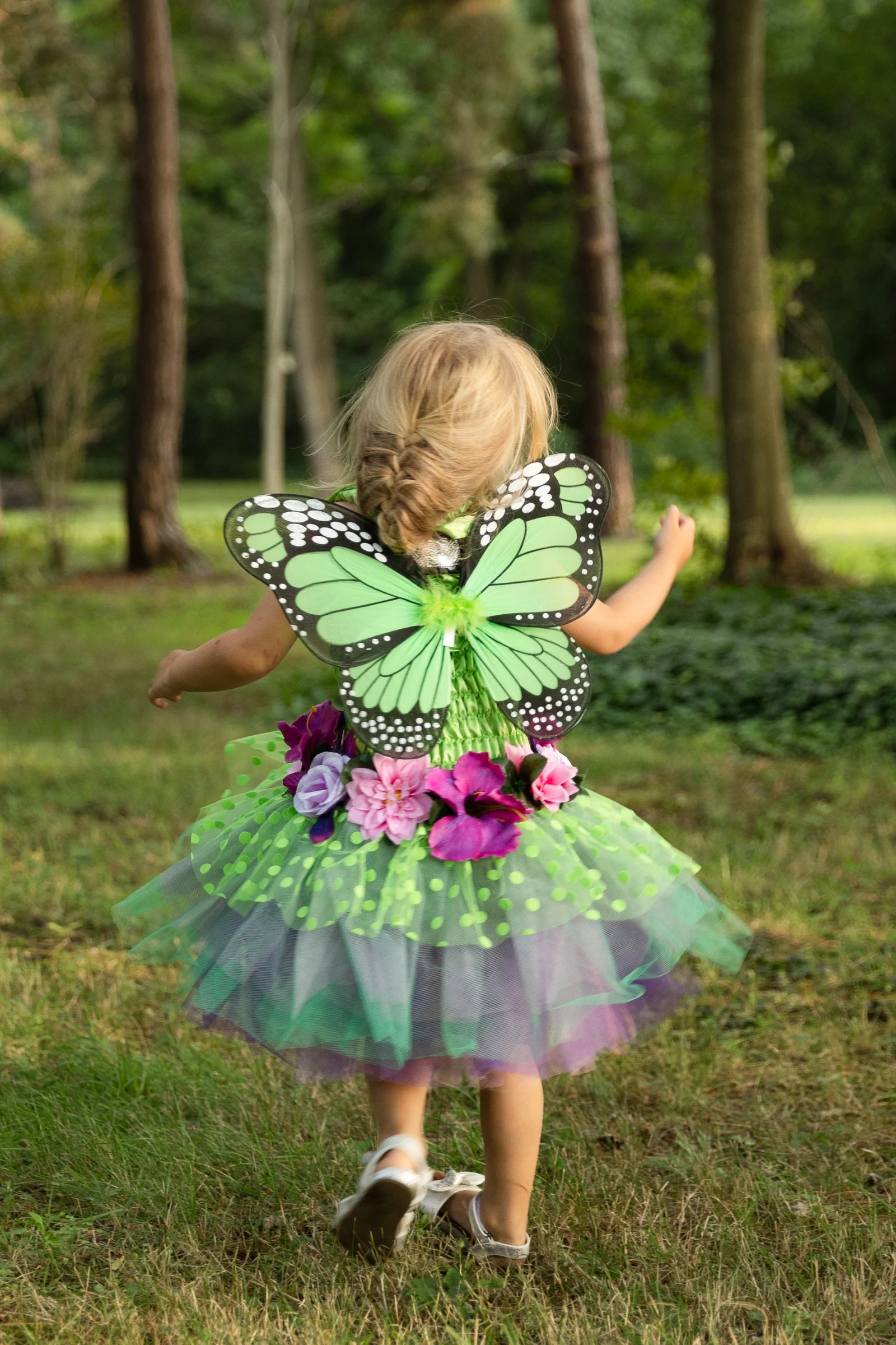 Fairy Blooms Deluxe Dress & Wings - Image 2