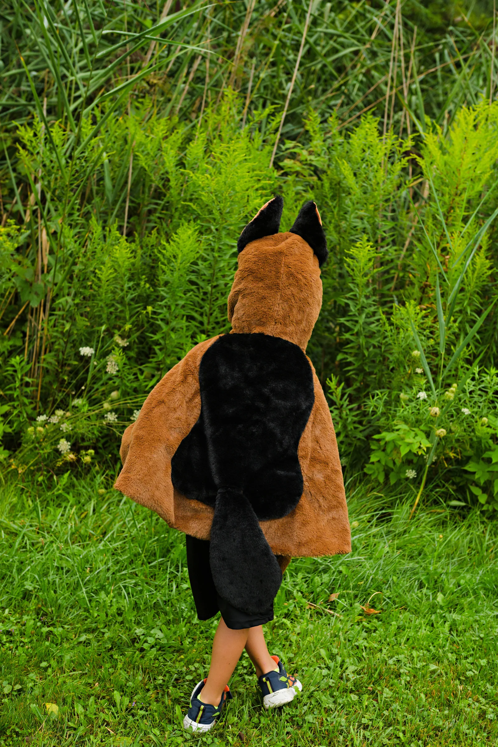 German Shepherd Dog Cuddle Cape - Image 4