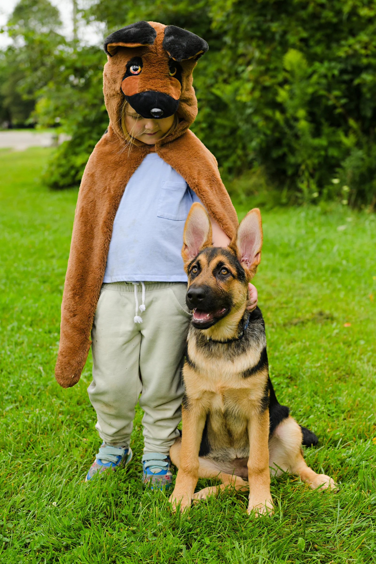 German Shepherd Dog Cuddle Cape - Image 5
