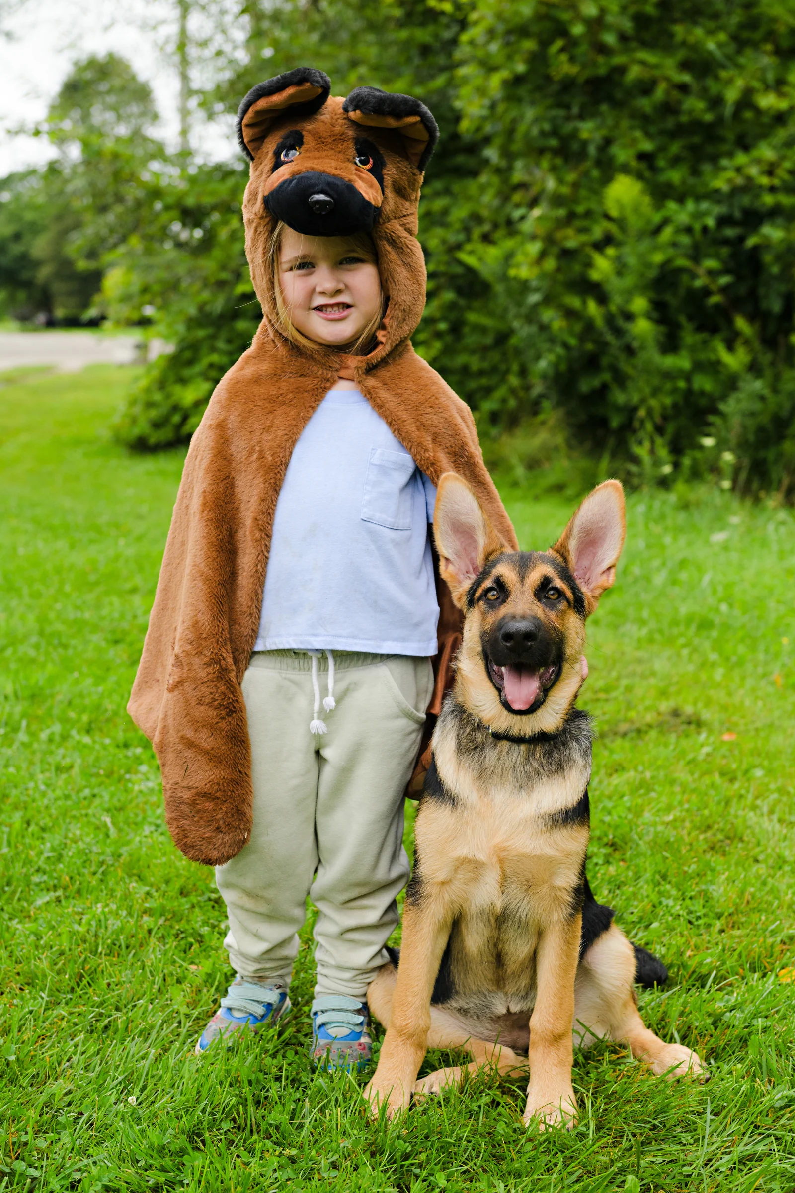 German Shepherd Dog Cuddle Cape - Image 6