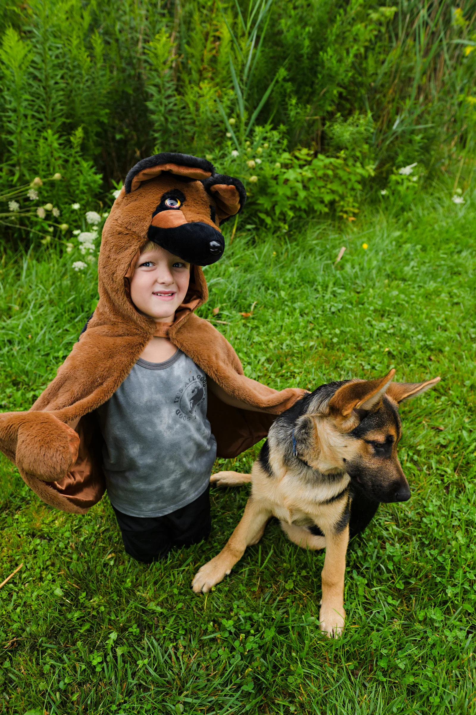 German Shepherd Dog Cuddle Cape - Image 7
