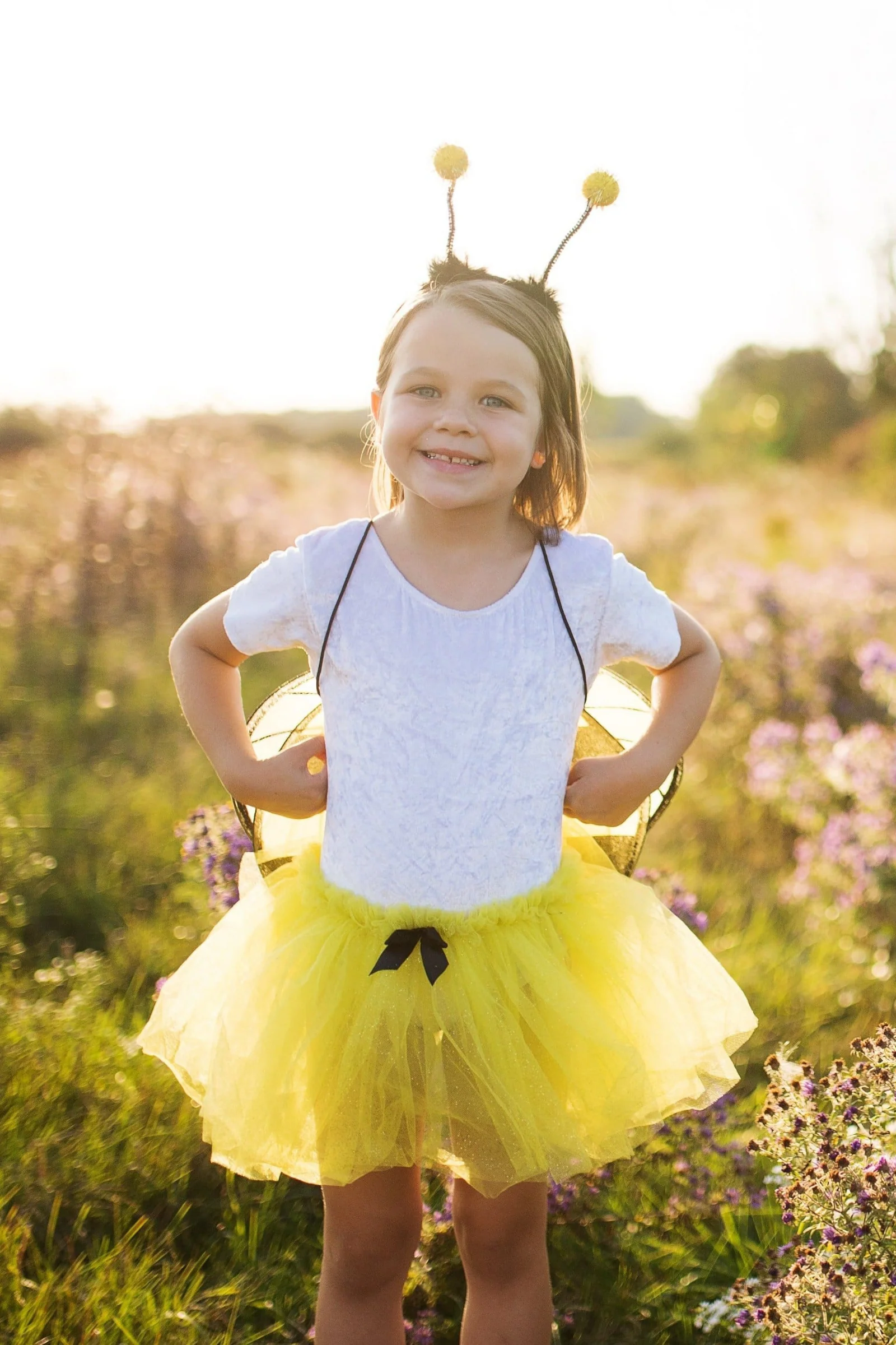 Glitter Bumble Bee Set - Image 3