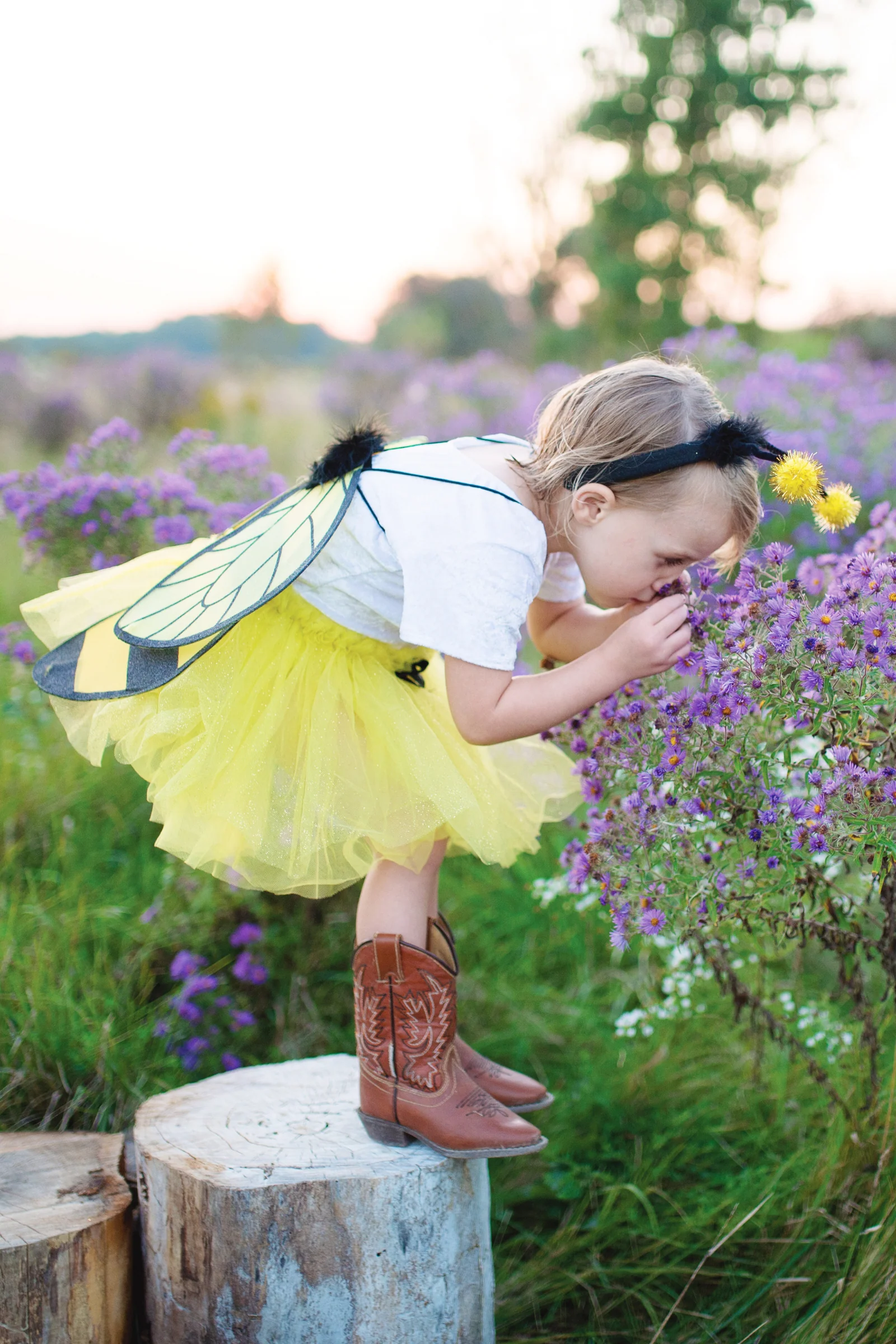 Glitter Bumble Bee Set - Image 9