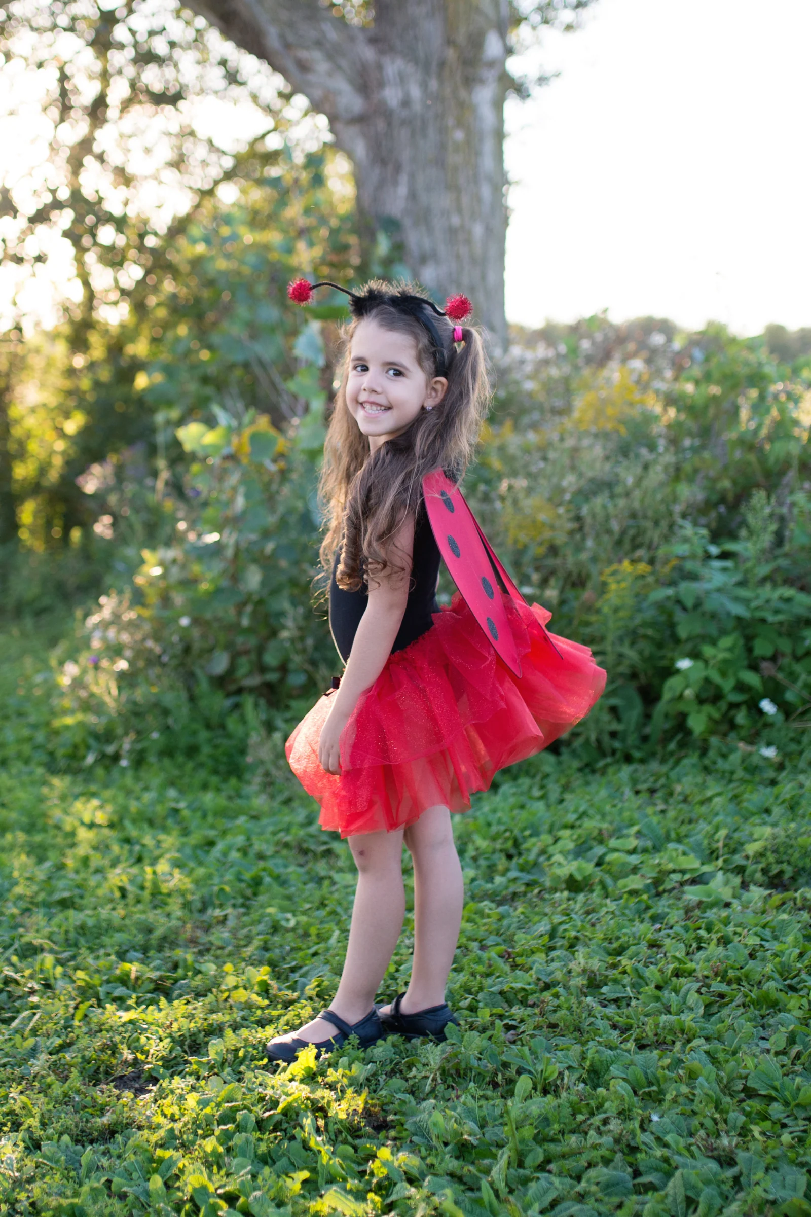 Glitter Ladybug Set - Image 3