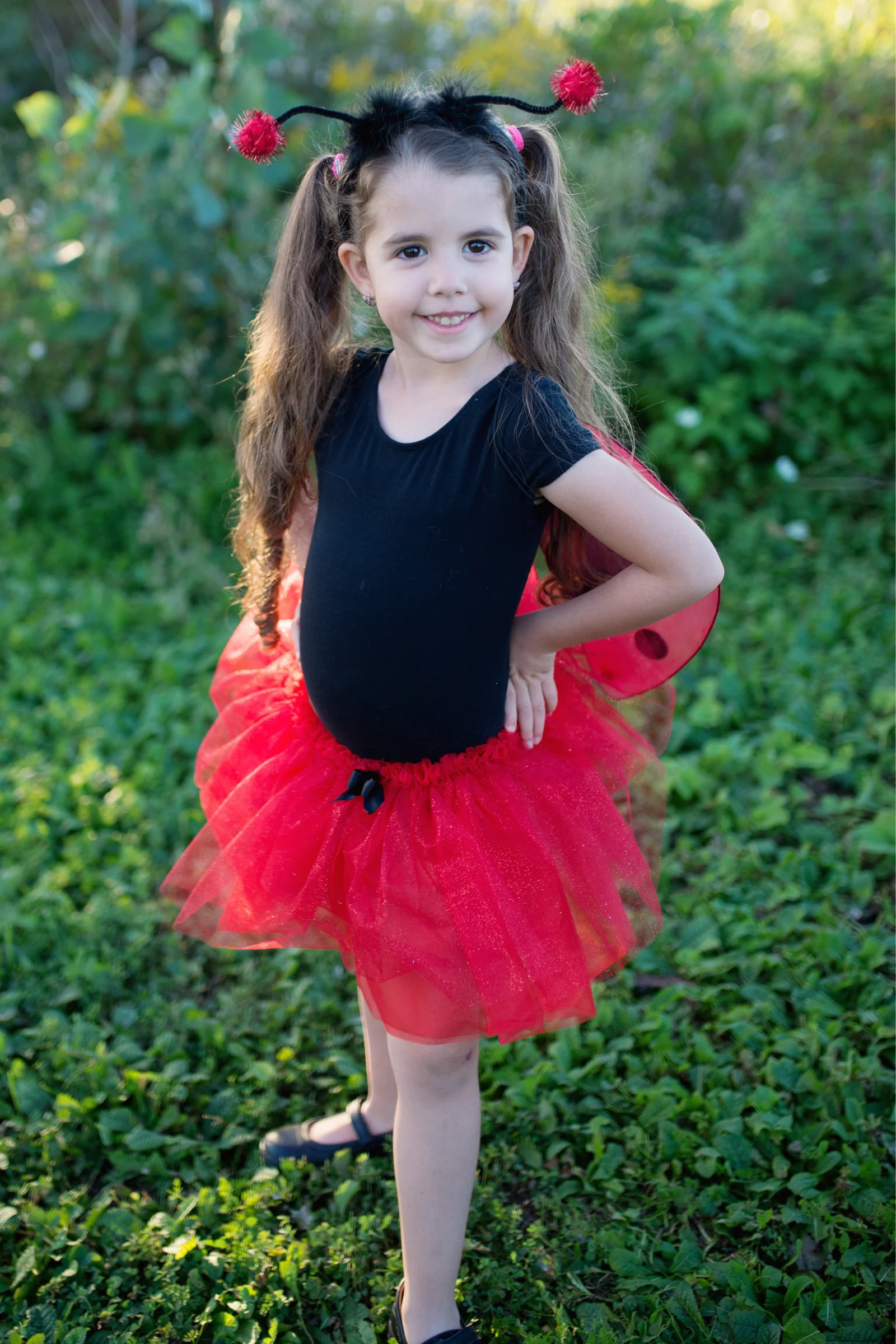 Glitter Ladybug Set - Image 4