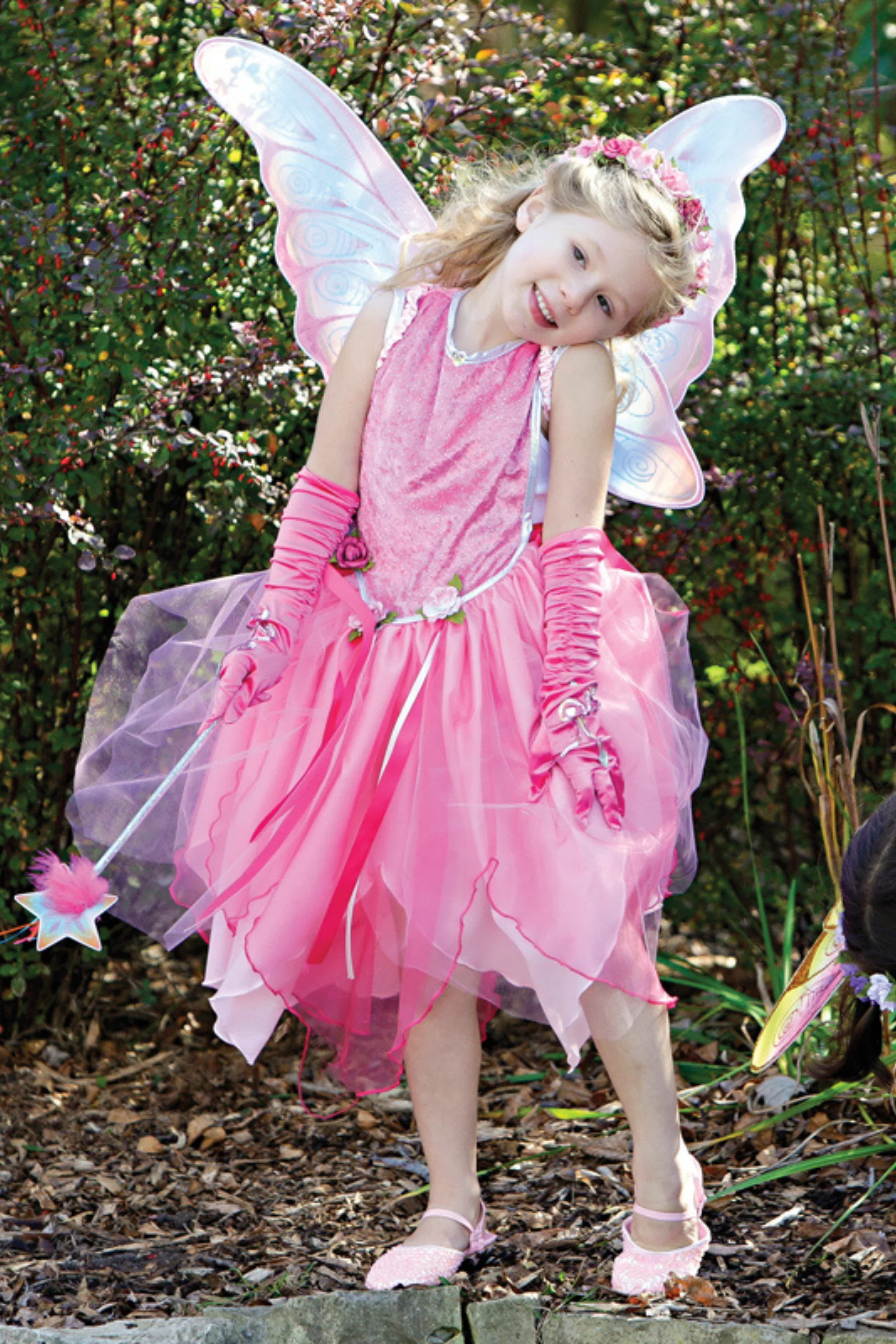 Glitter Rainbow Wings - Image 3