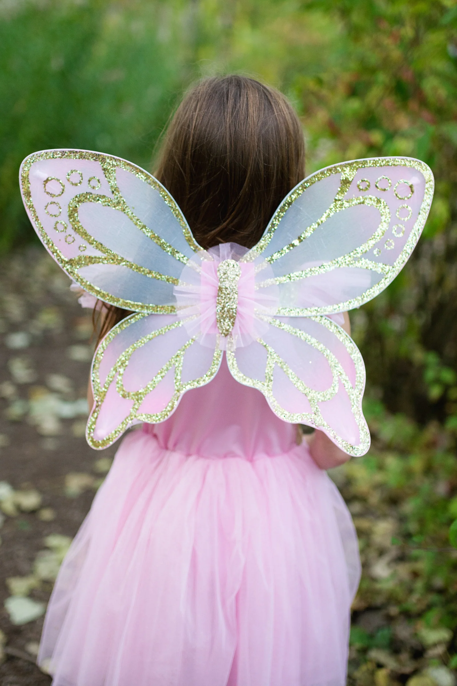 Sequins Butterfly Dress & Wings - Image 4