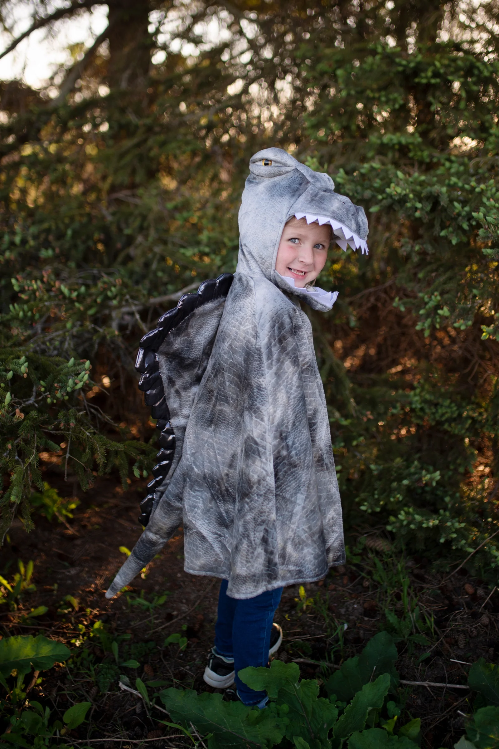 Grey Grandasaurus Spinosaurus Cape - Image 2