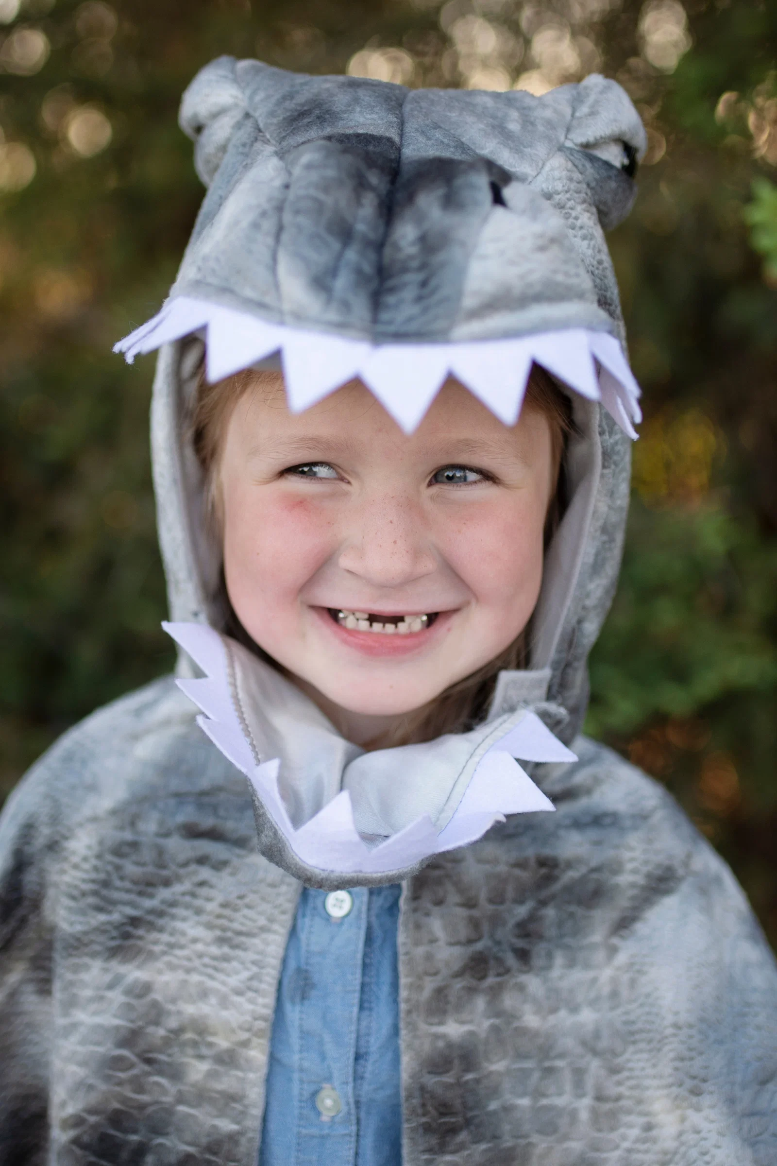 Grey Grandasaurus Spinosaurus Cape - Image 4