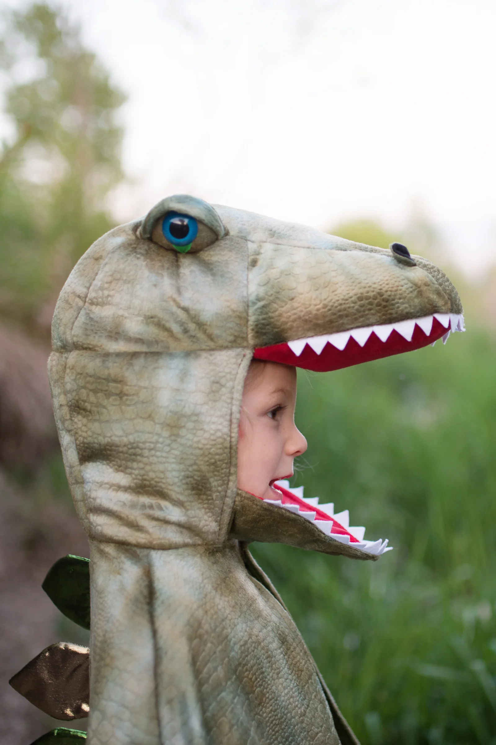 Grandasaurus T-Rex Cape with Claws - Image 3