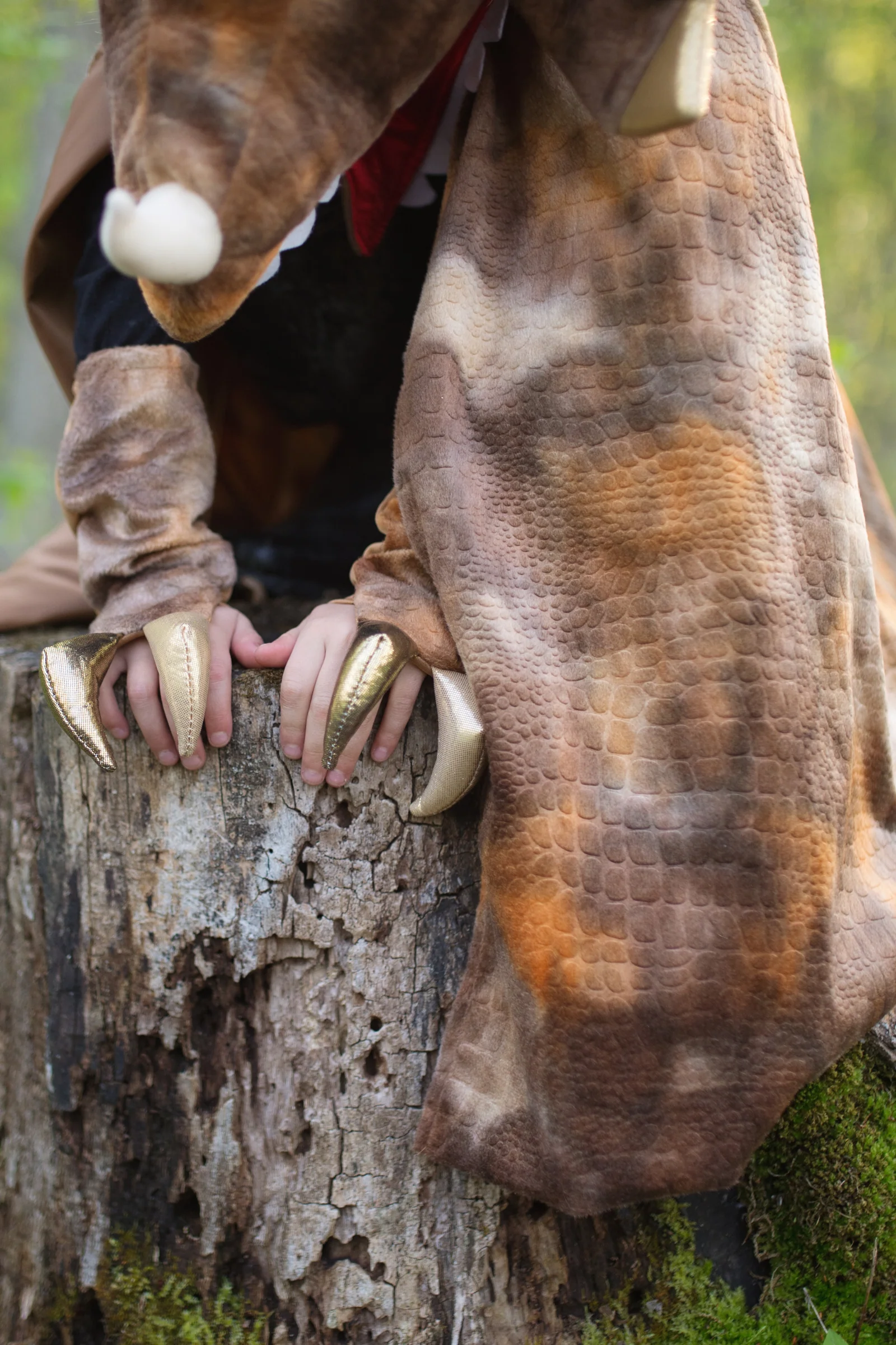 Grandasaurus Triceratops Cape with Claws - Image 5