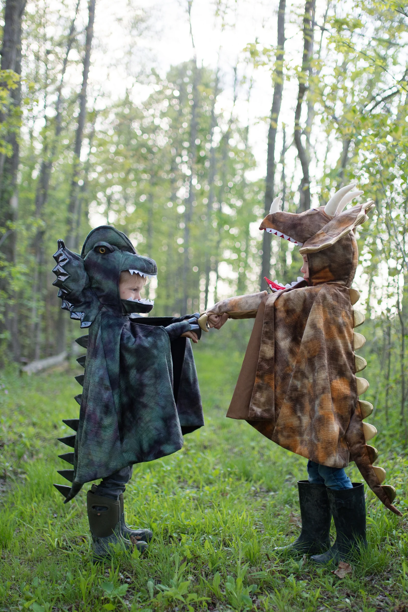 Grandasaurus Triceratops Cape with Claws - Image 7