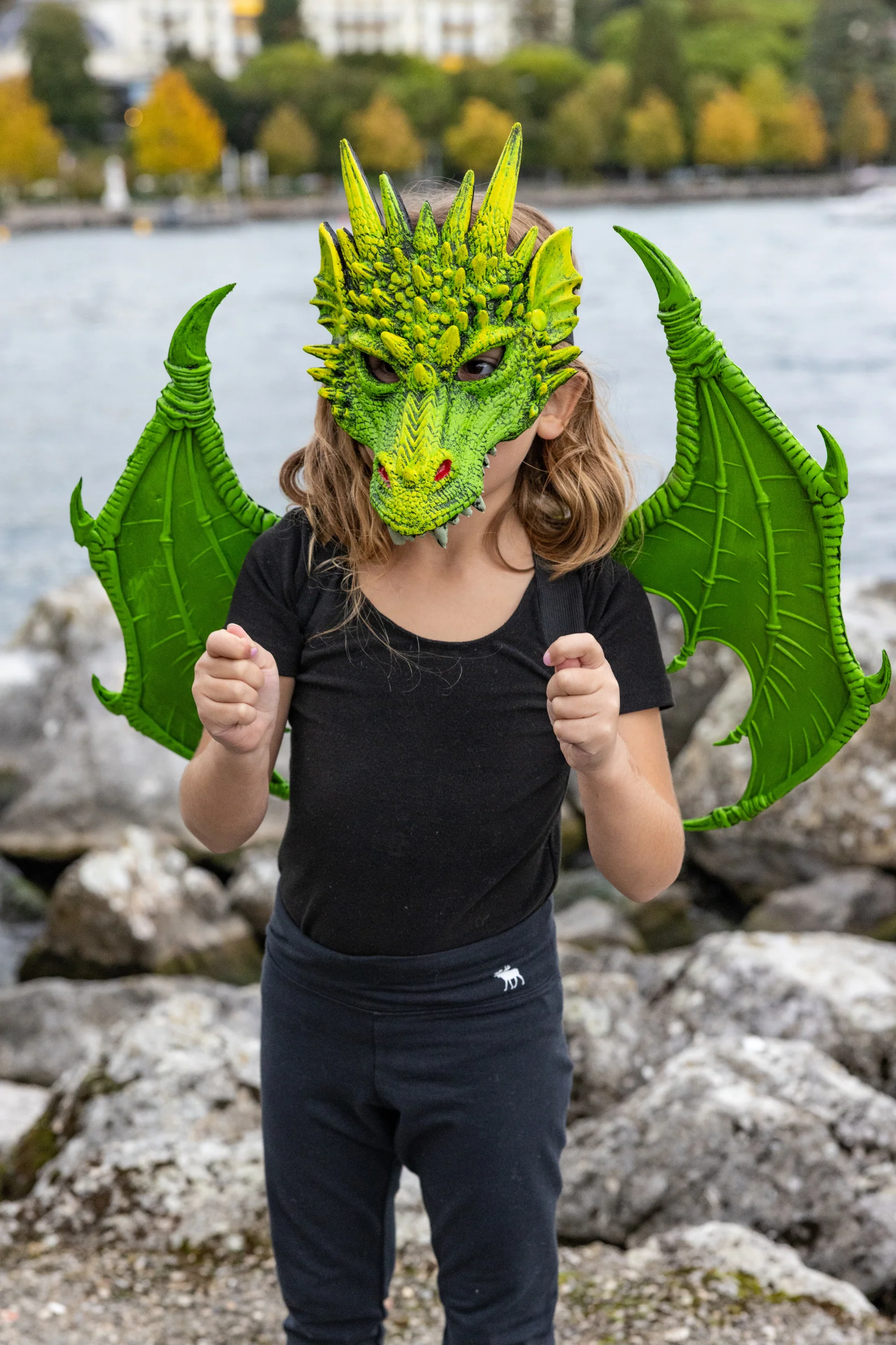 Green Dragon Wings - Image 3
