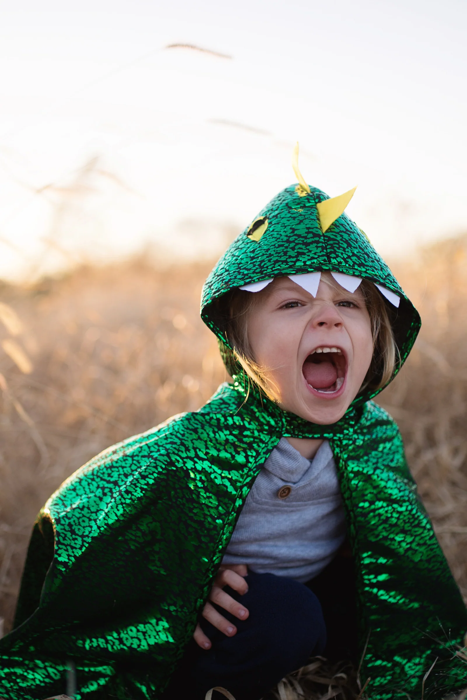 Toddler Dragon Cape Green Metallic - Image 4
