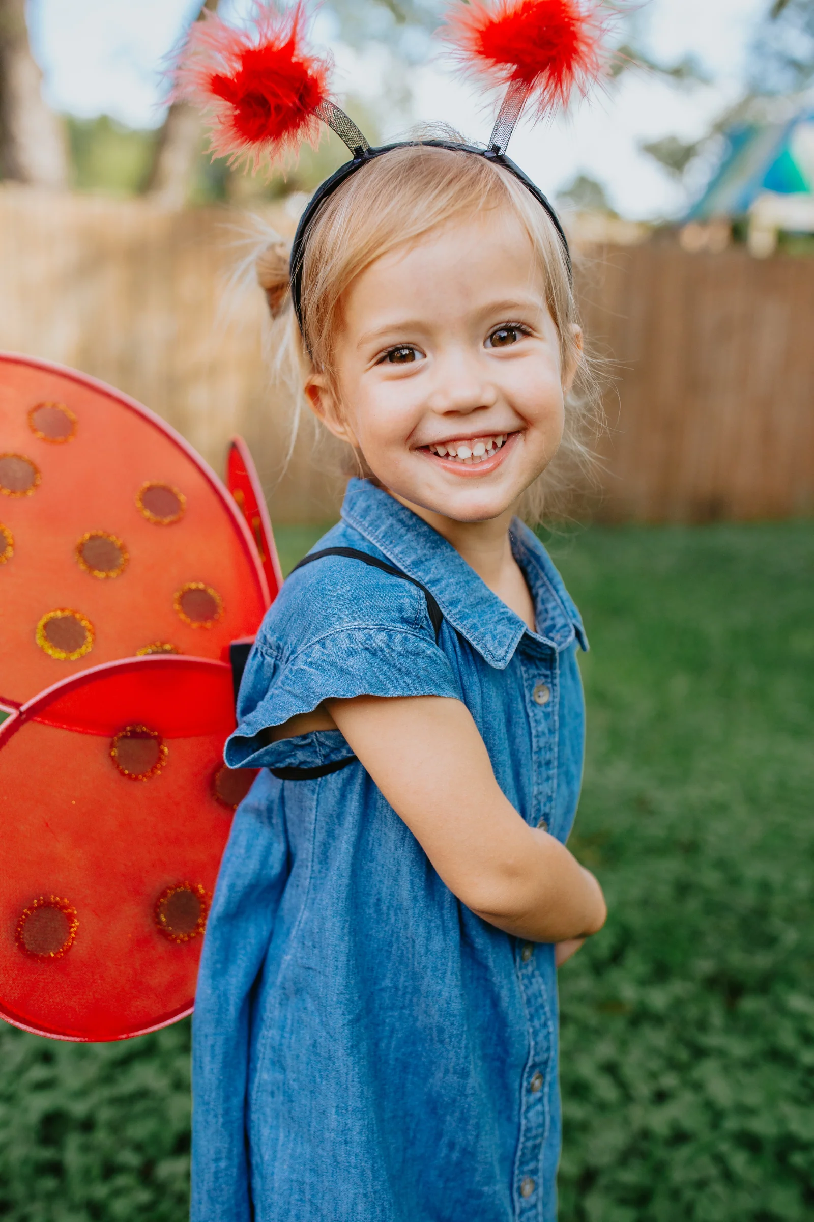 Ladybug Wings & Headband - Image 3