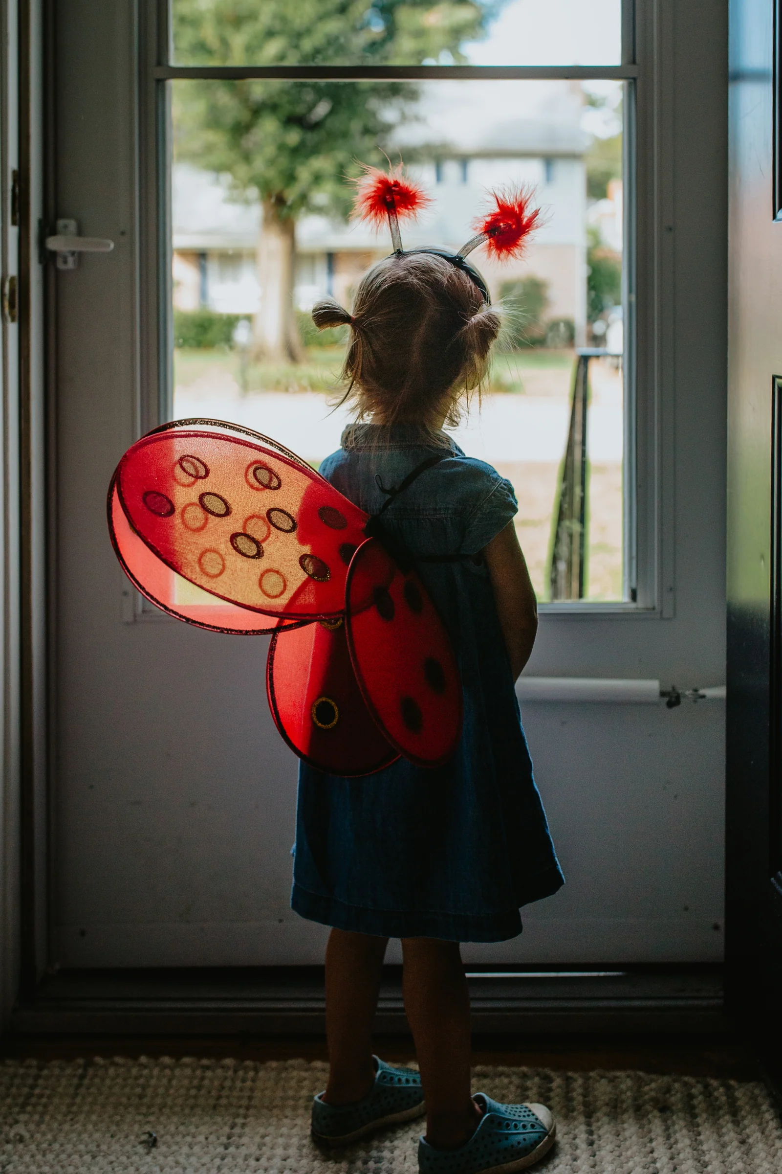 Ladybug Wings & Headband - Image 4