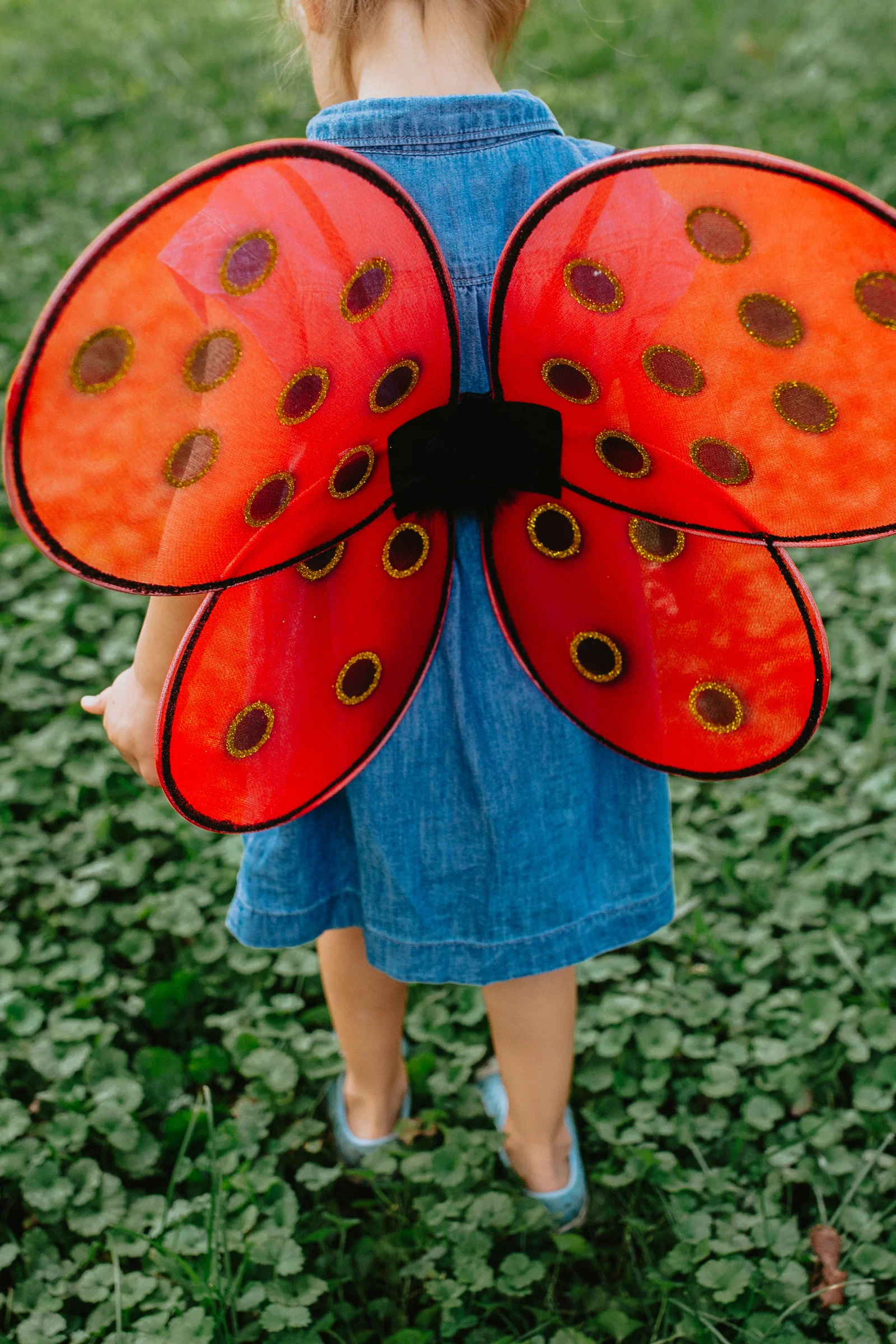 Ladybug Wings & Headband - Image 5