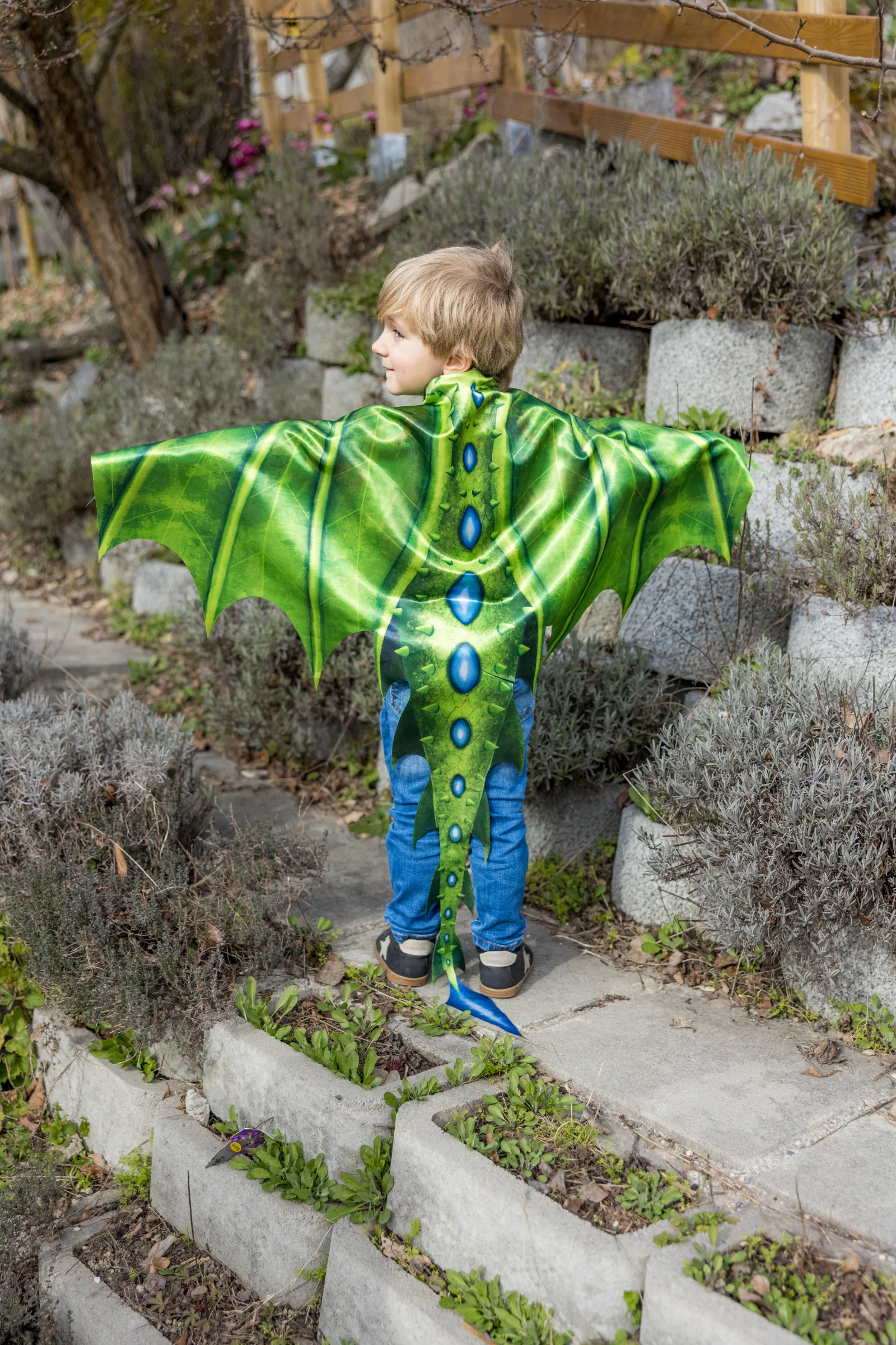 Legendary Dragon Soft Wings - Image 4