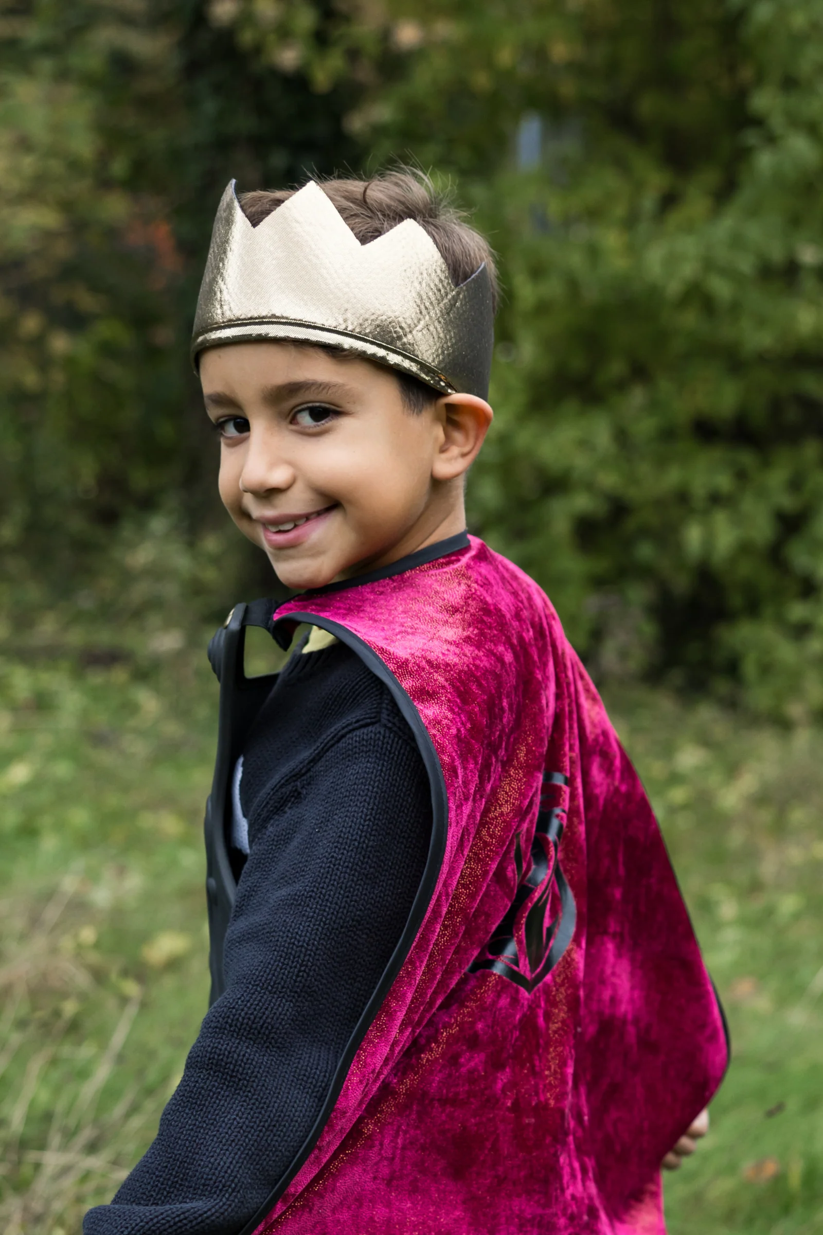 Legendary Knight Cape, Chest Plate & Crown - Image 2