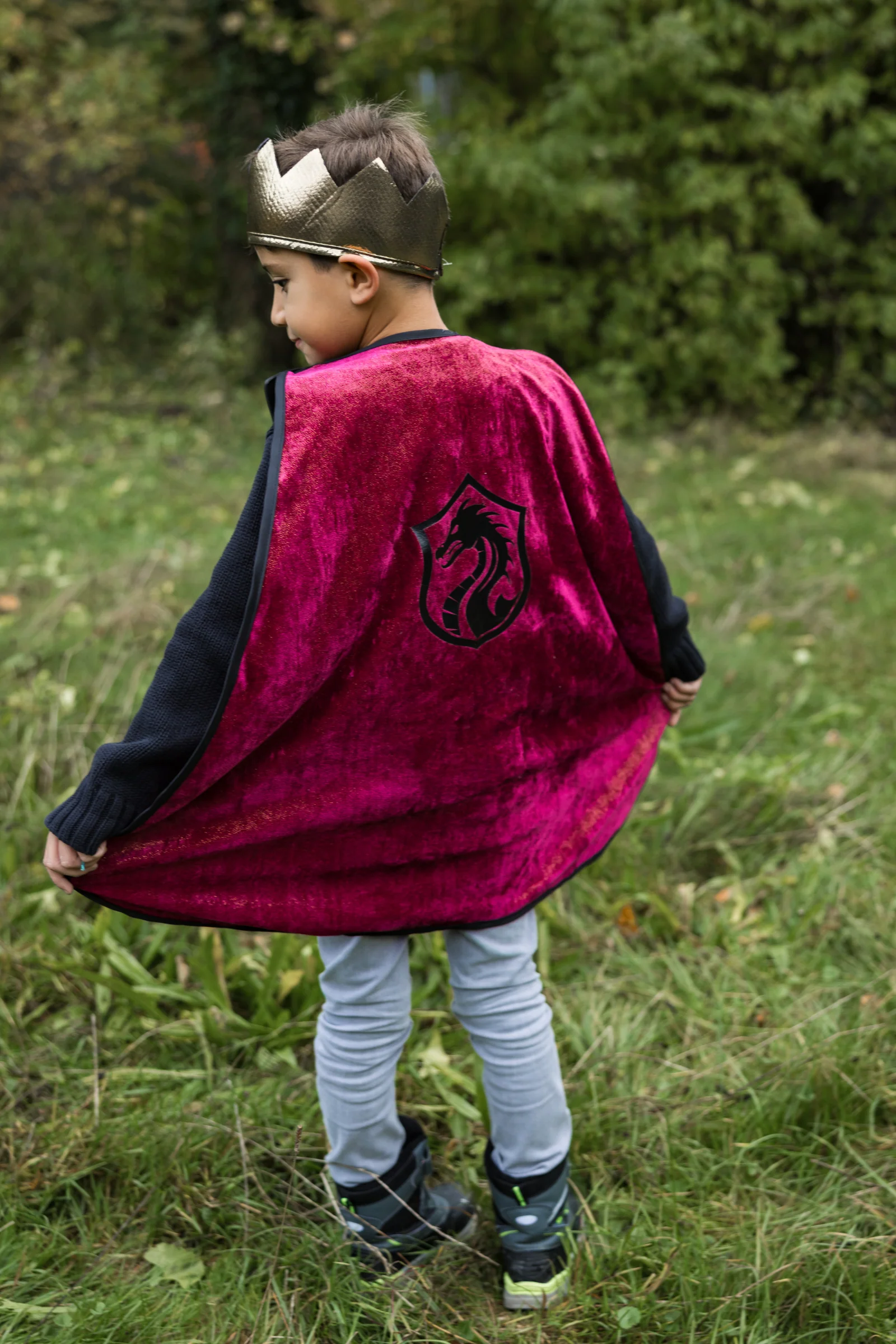 Legendary Knight Cape, Chest Plate & Crown - Image 4