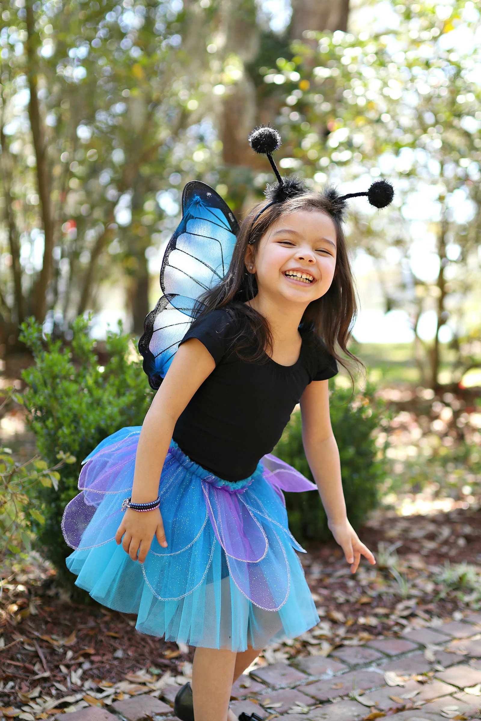 Midnight Butterfly Set - Image 3