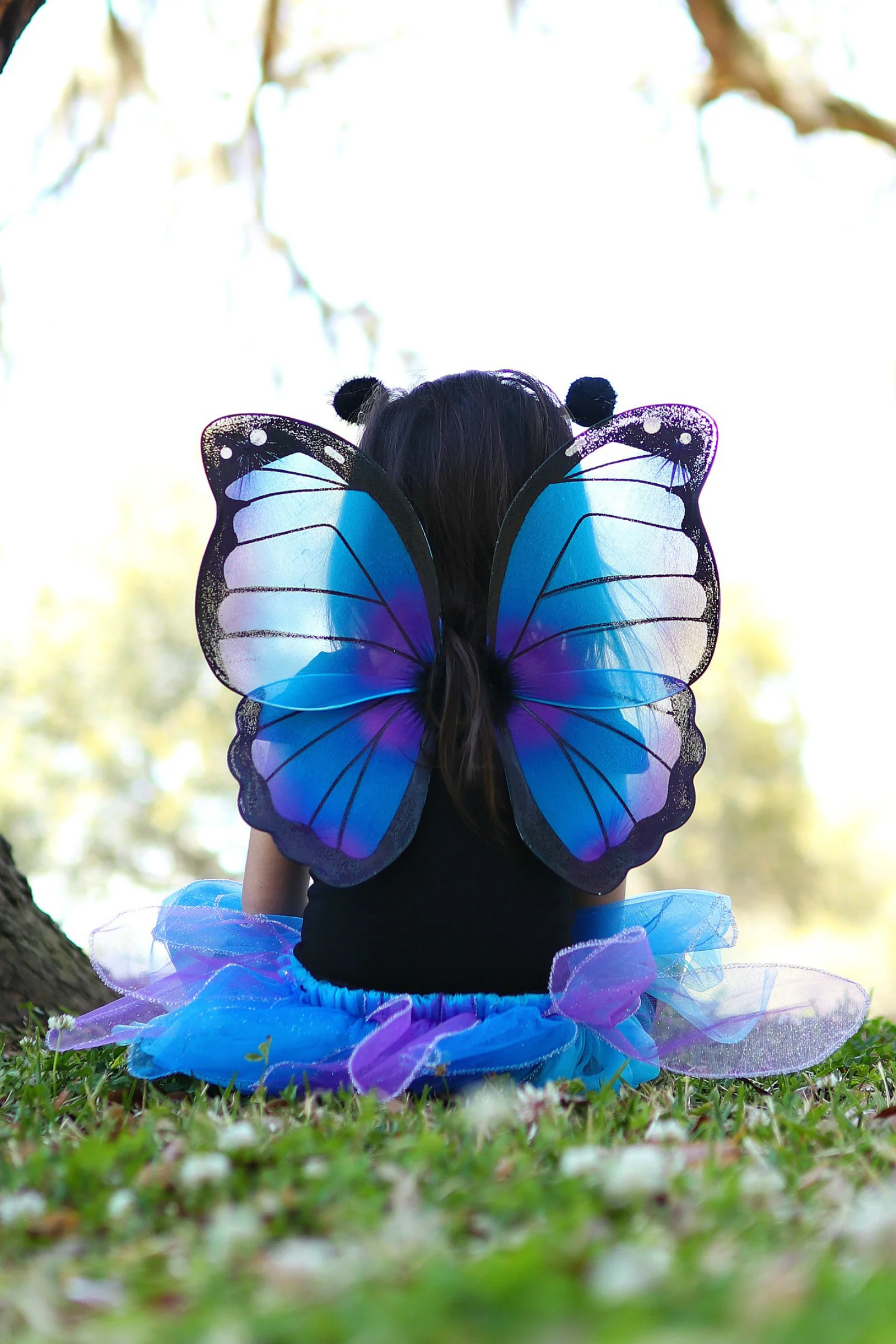 Midnight Butterfly Set - Image 4