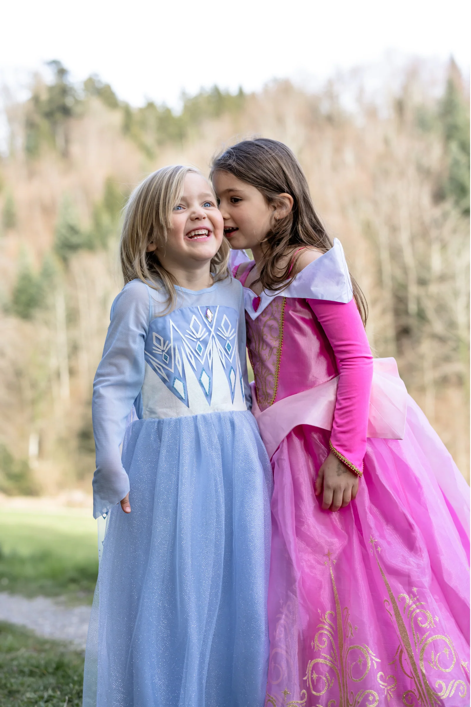 Once Upon a Princess Winter Princess Dress - Image 3