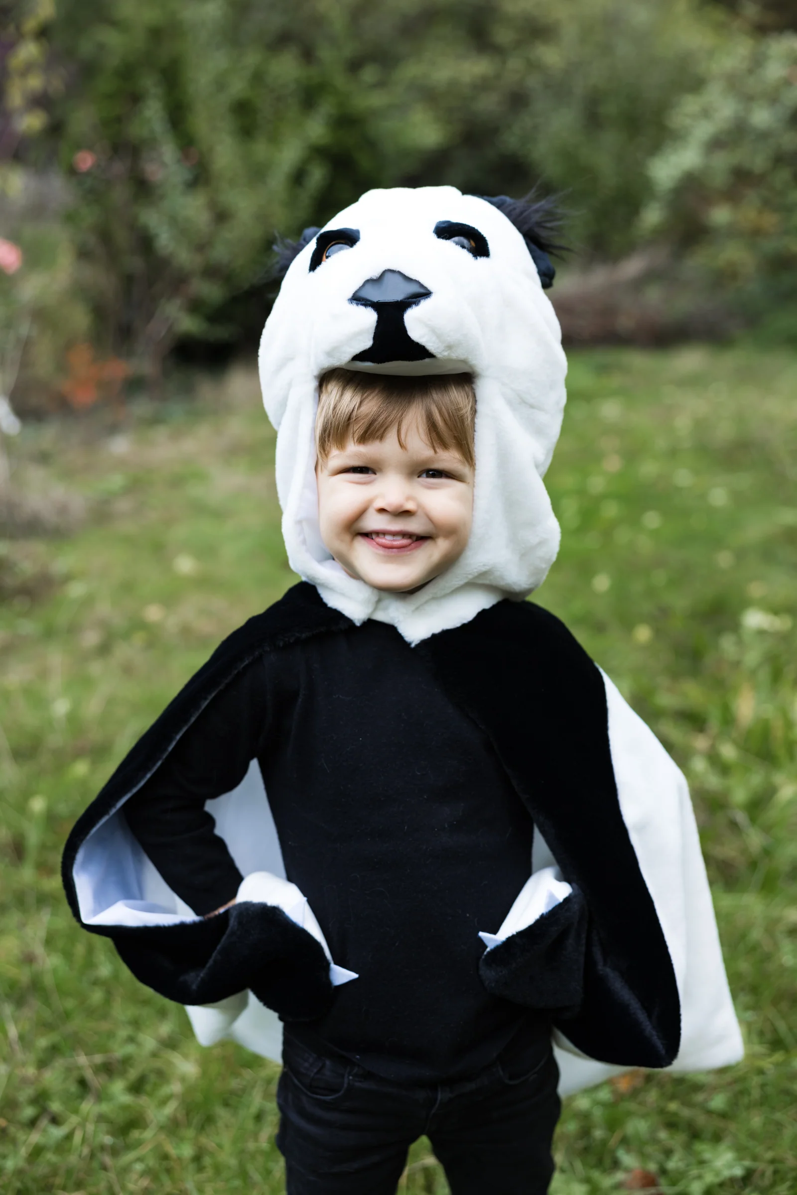 Panda Cuddle Cape - Image 3