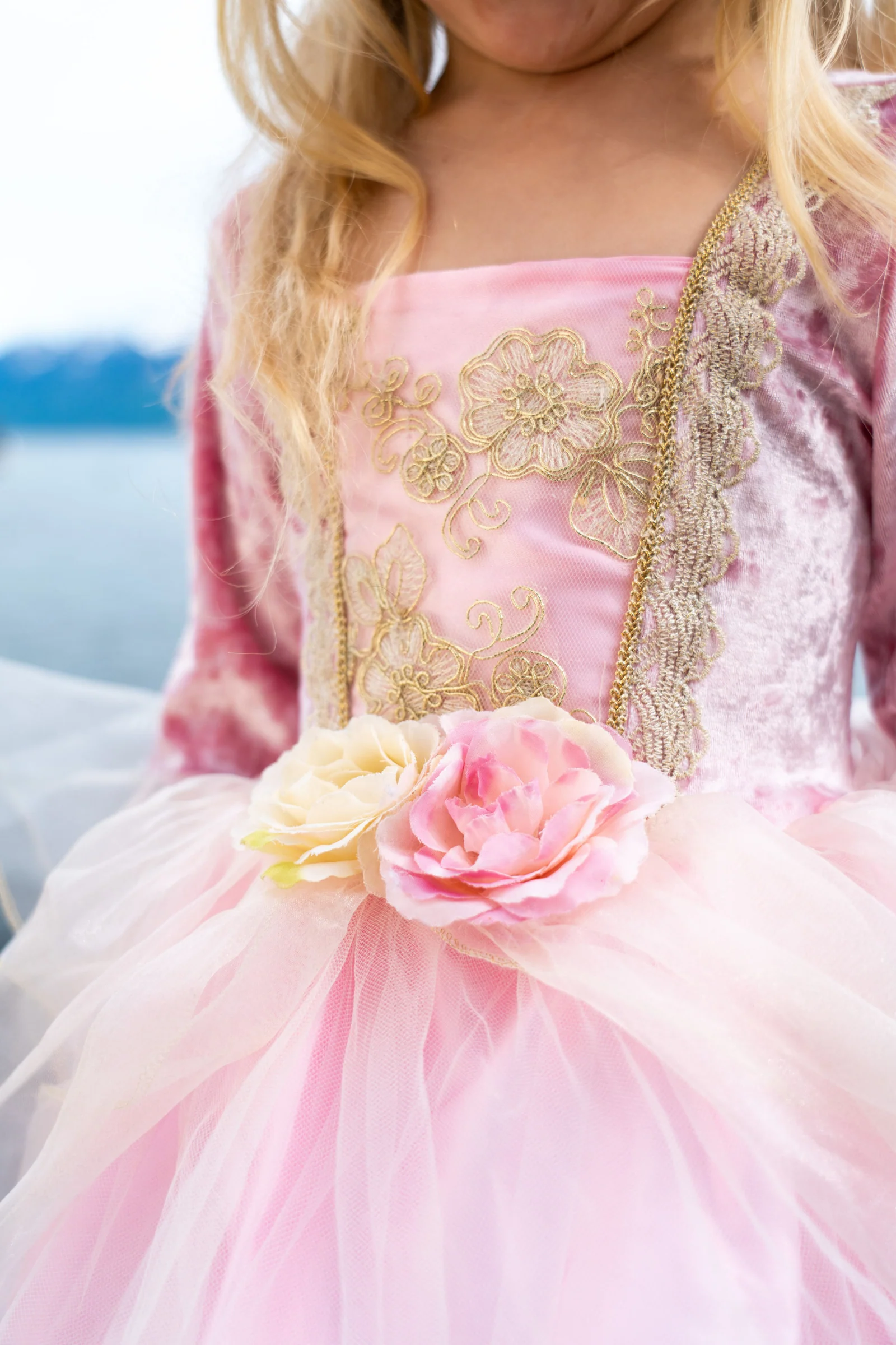 Rose Princess Dress - Image 2