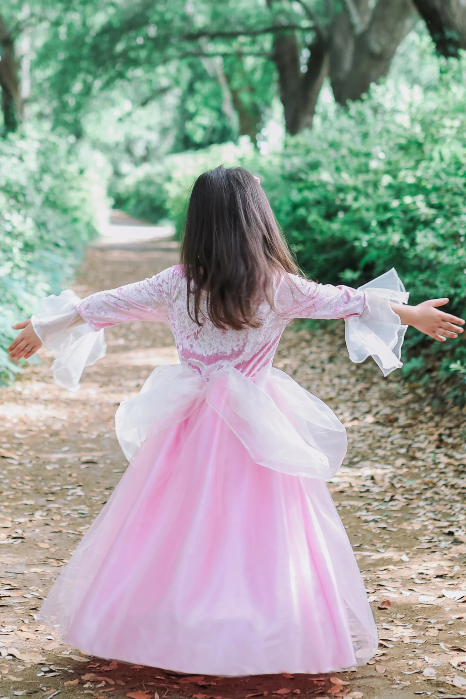 Rose Princess Dress - Image 5