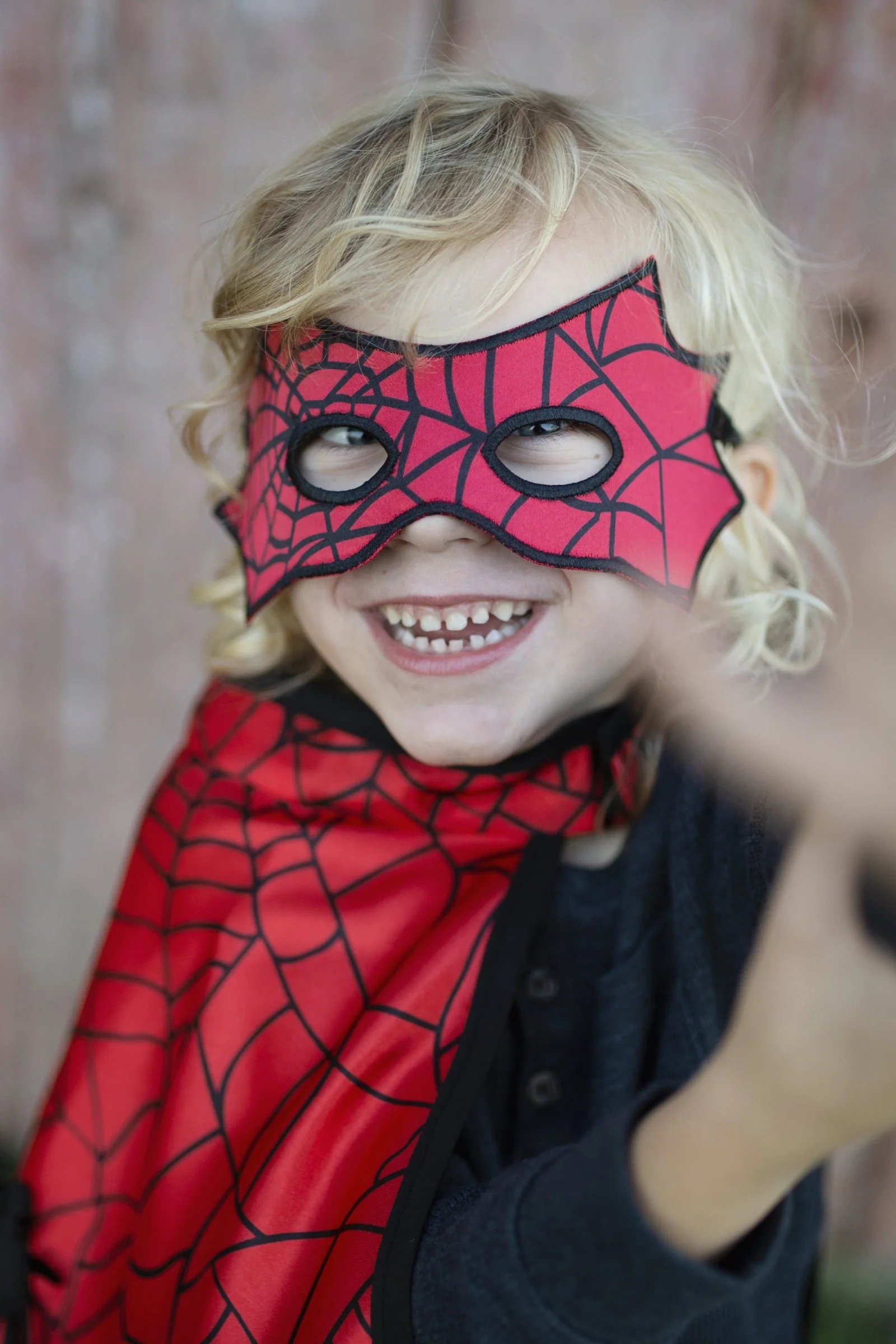 Spider Bat Reversible Cape and Mask - Image 3