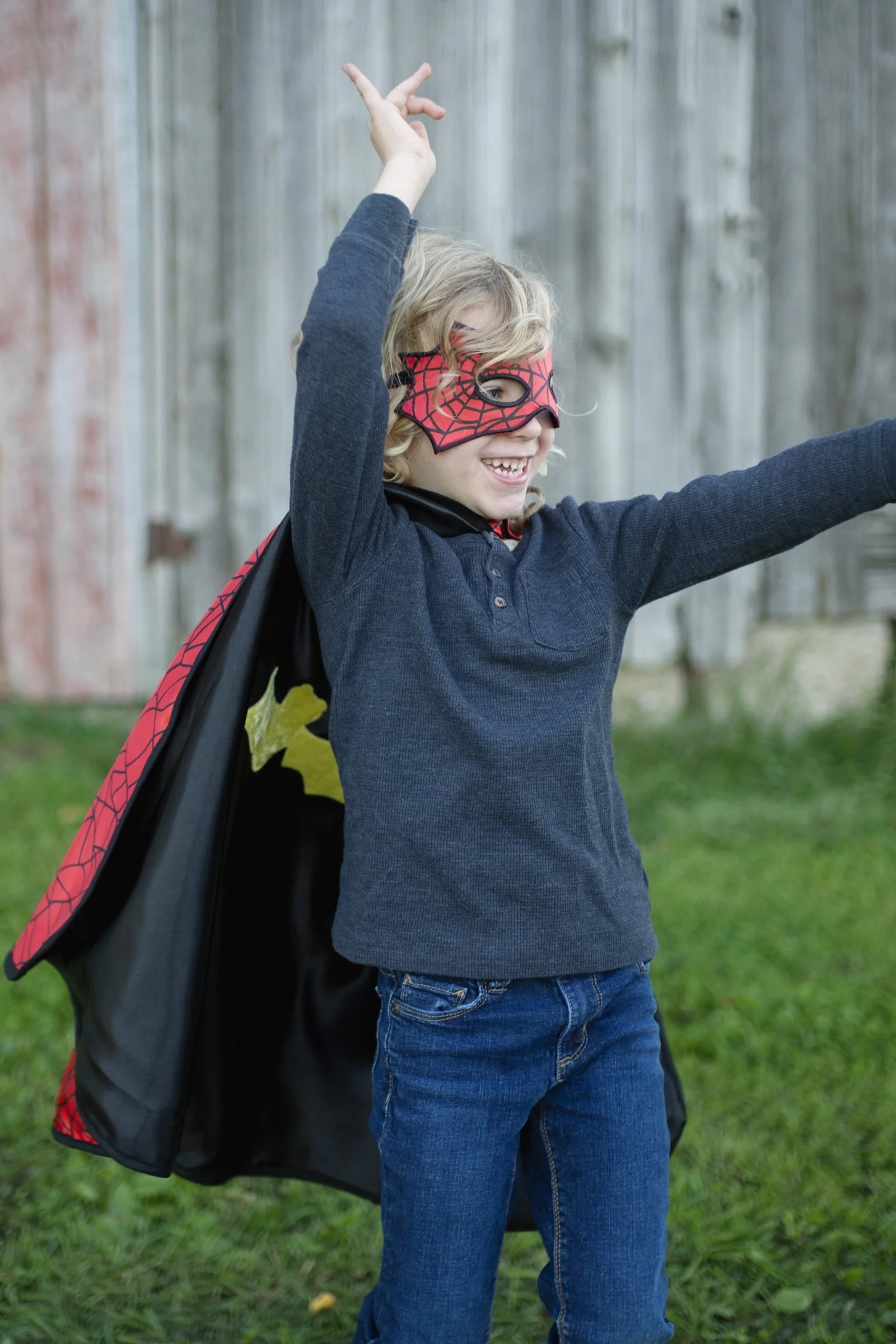 Spider Bat Reversible Cape and Mask - Image 7