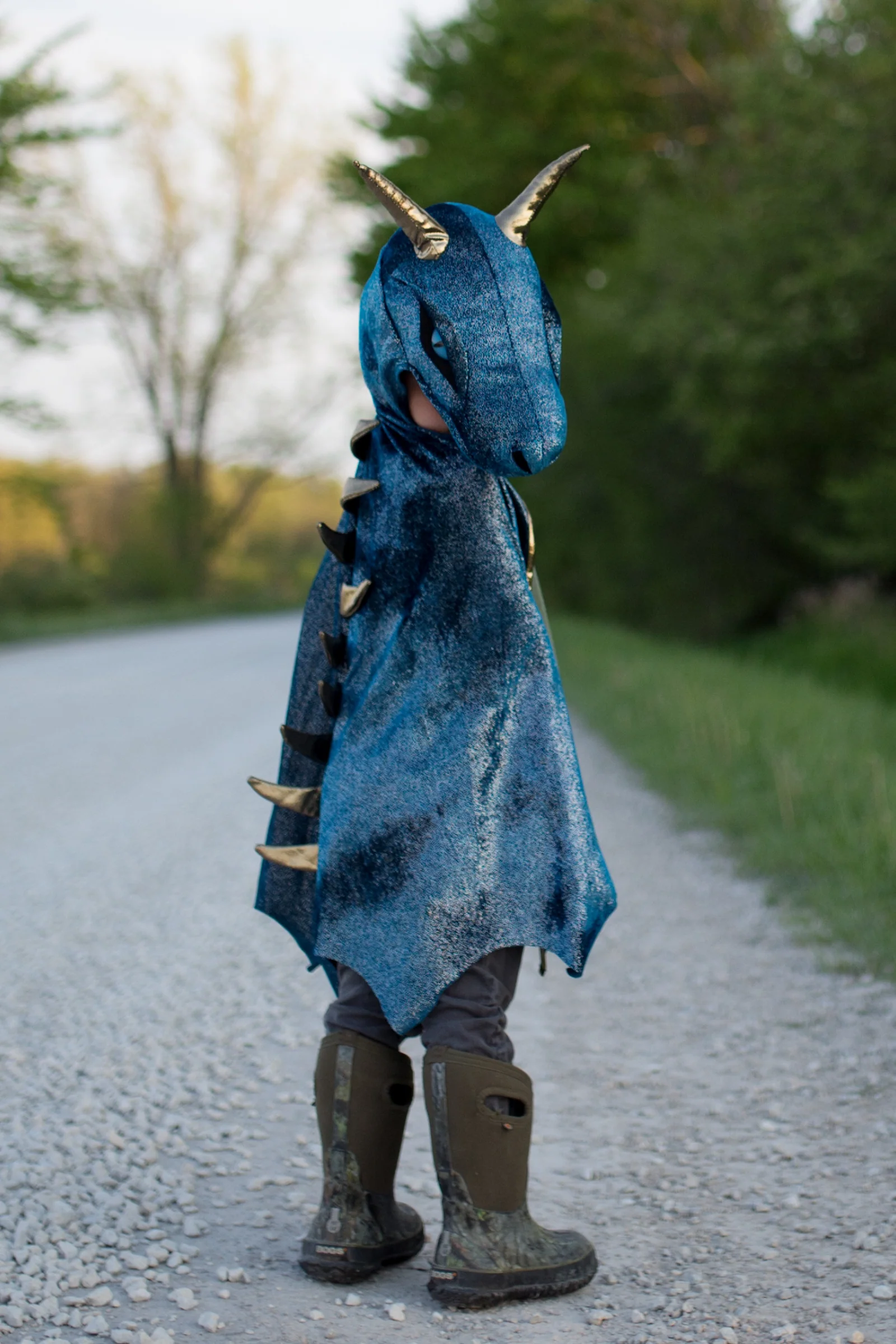 Starry Night Dragon Cape - Image 8