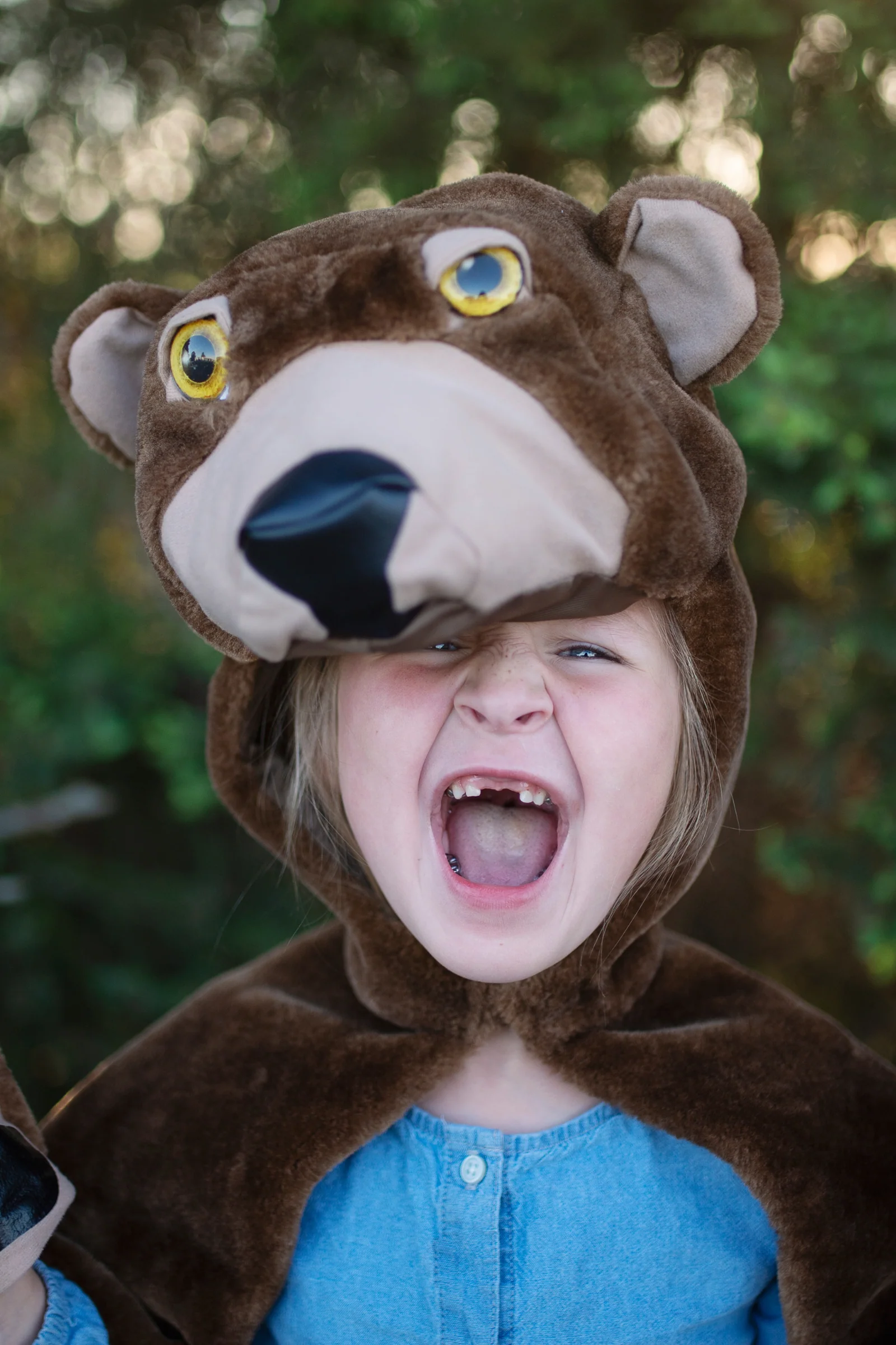 Storybook Bear Cape - Image 3