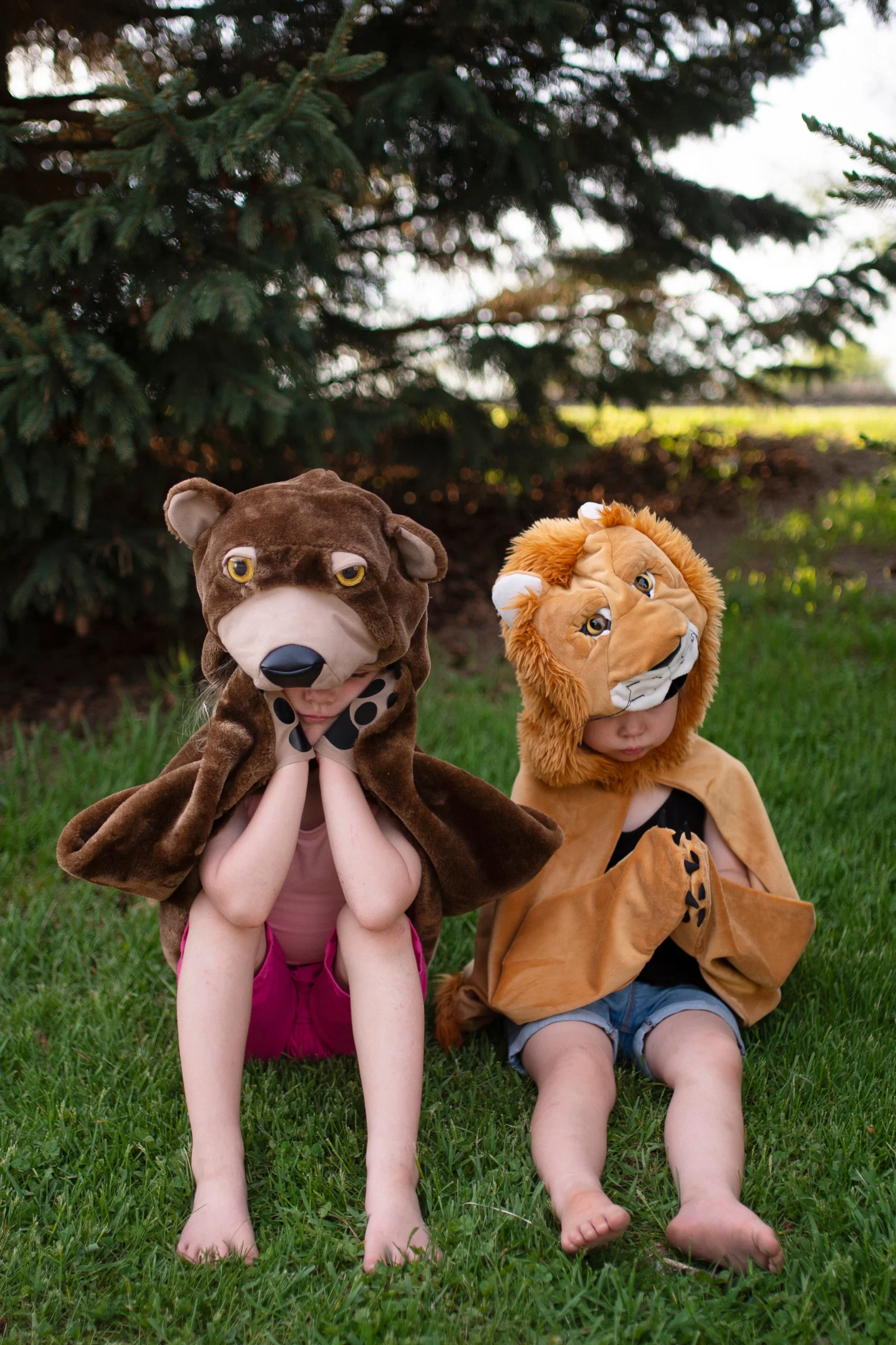Storybook Bear Cape - Image 7
