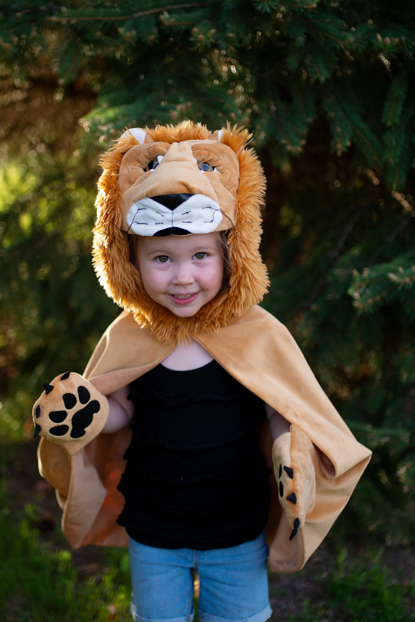 Storybook Lion Cape - Image 3
