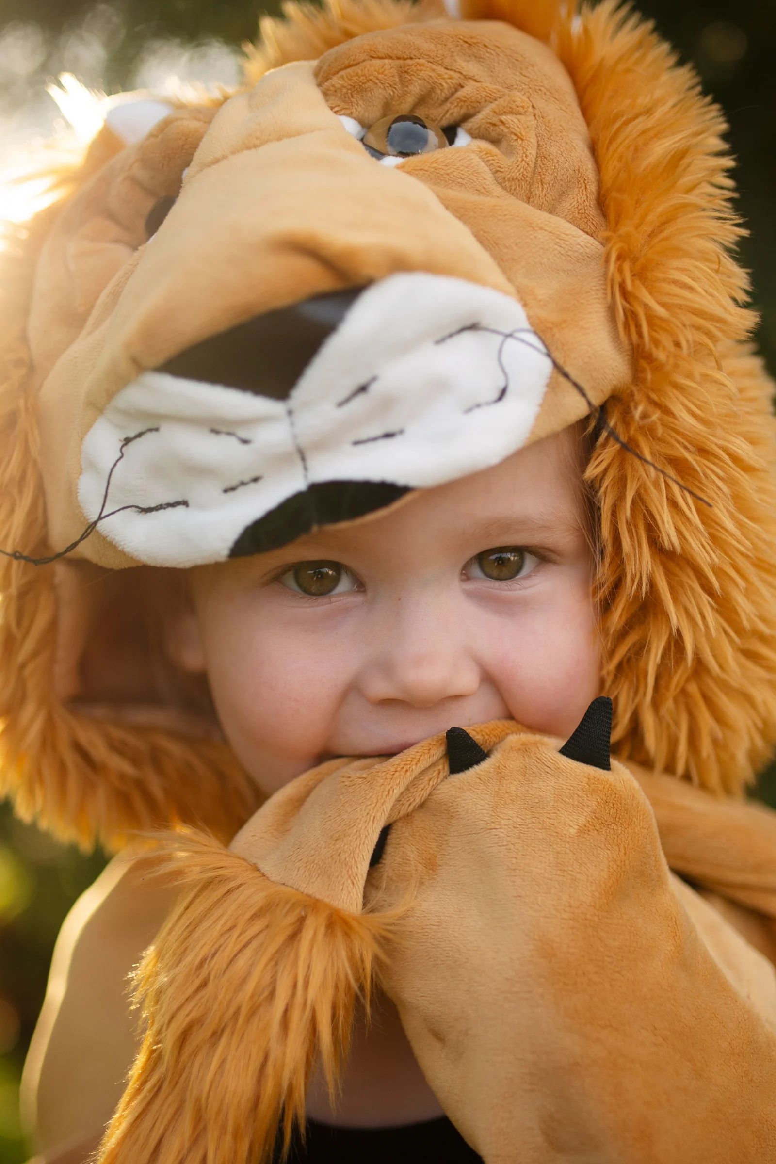 Storybook Lion Cape - Image 4