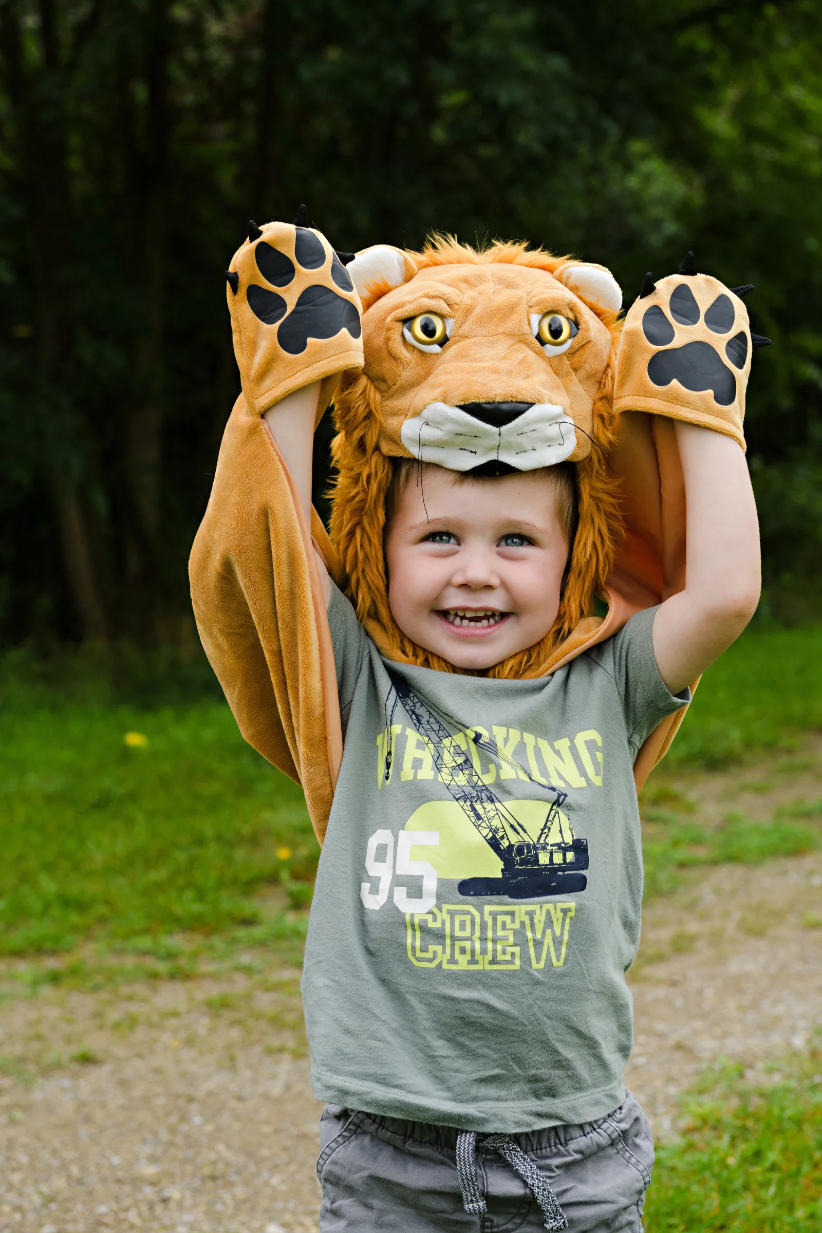 Storybook Lion Cape - Image 5