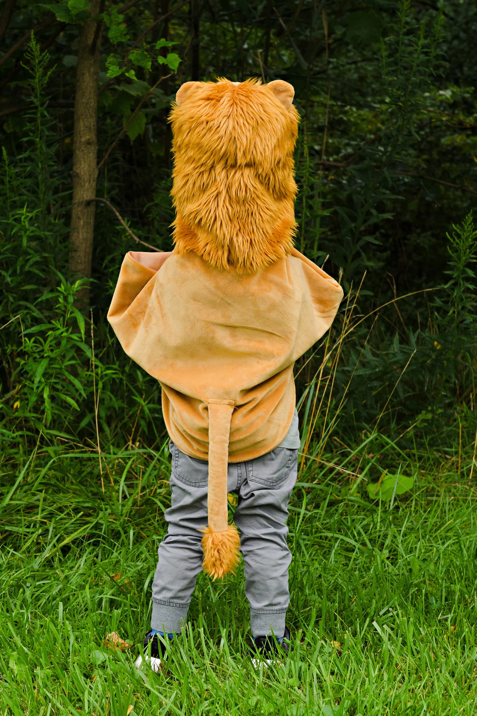 Storybook Lion Cape - Image 6