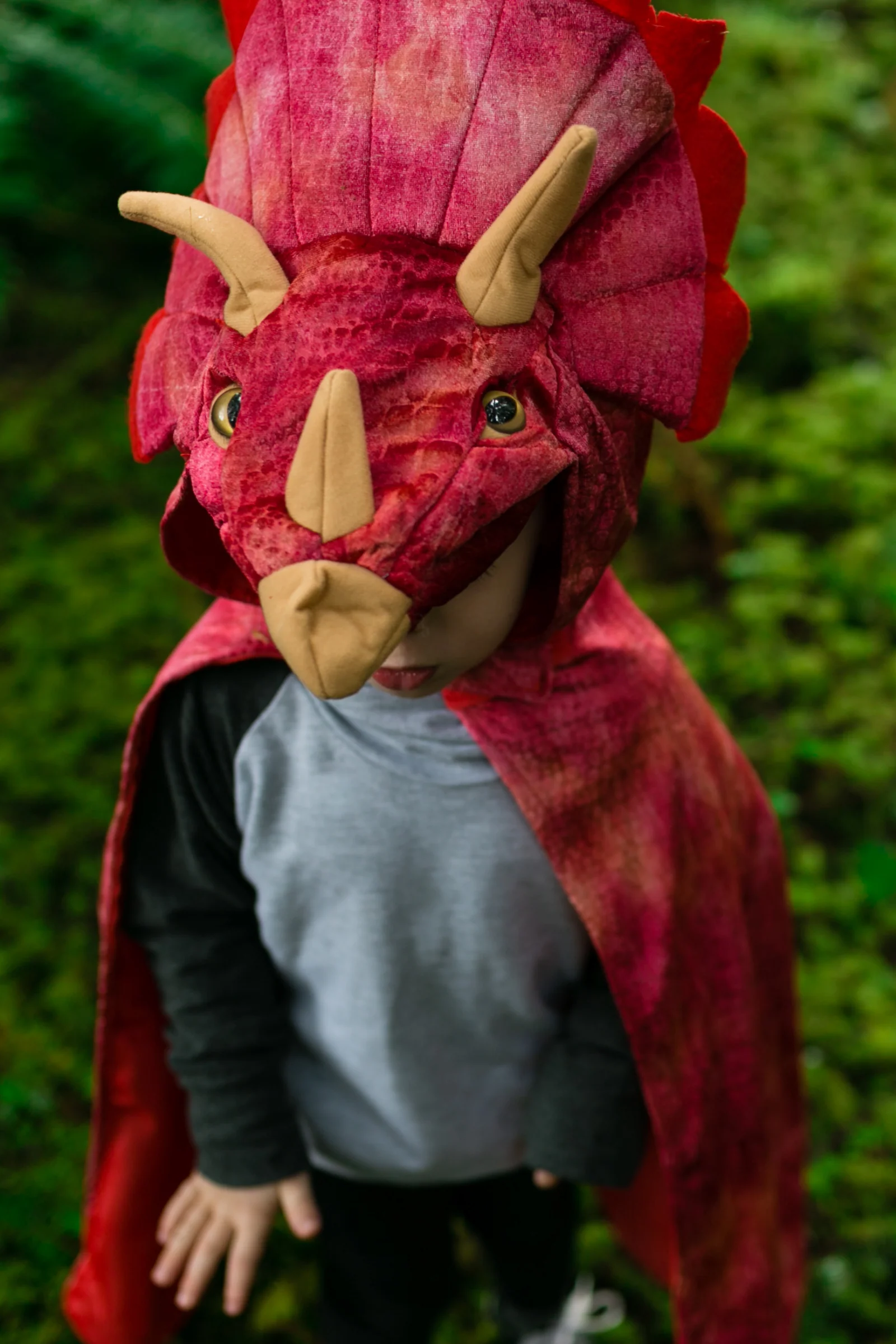 Triceratops Hooded Dinosaur Cape - Image 2