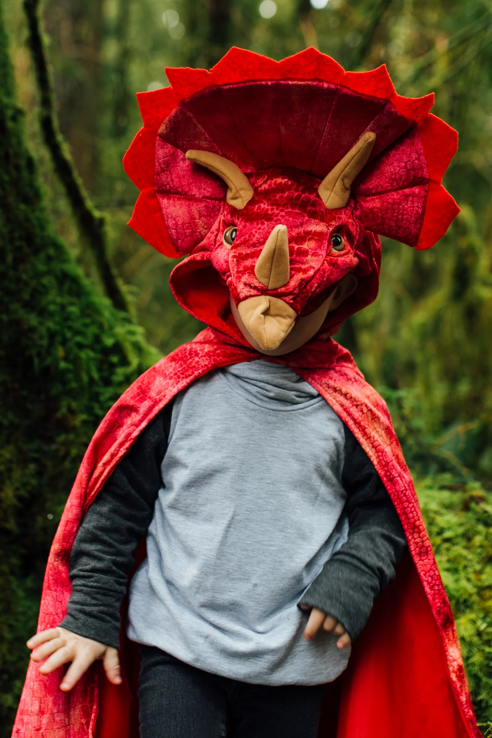 Triceratops Hooded Dinosaur Cape - Image 3