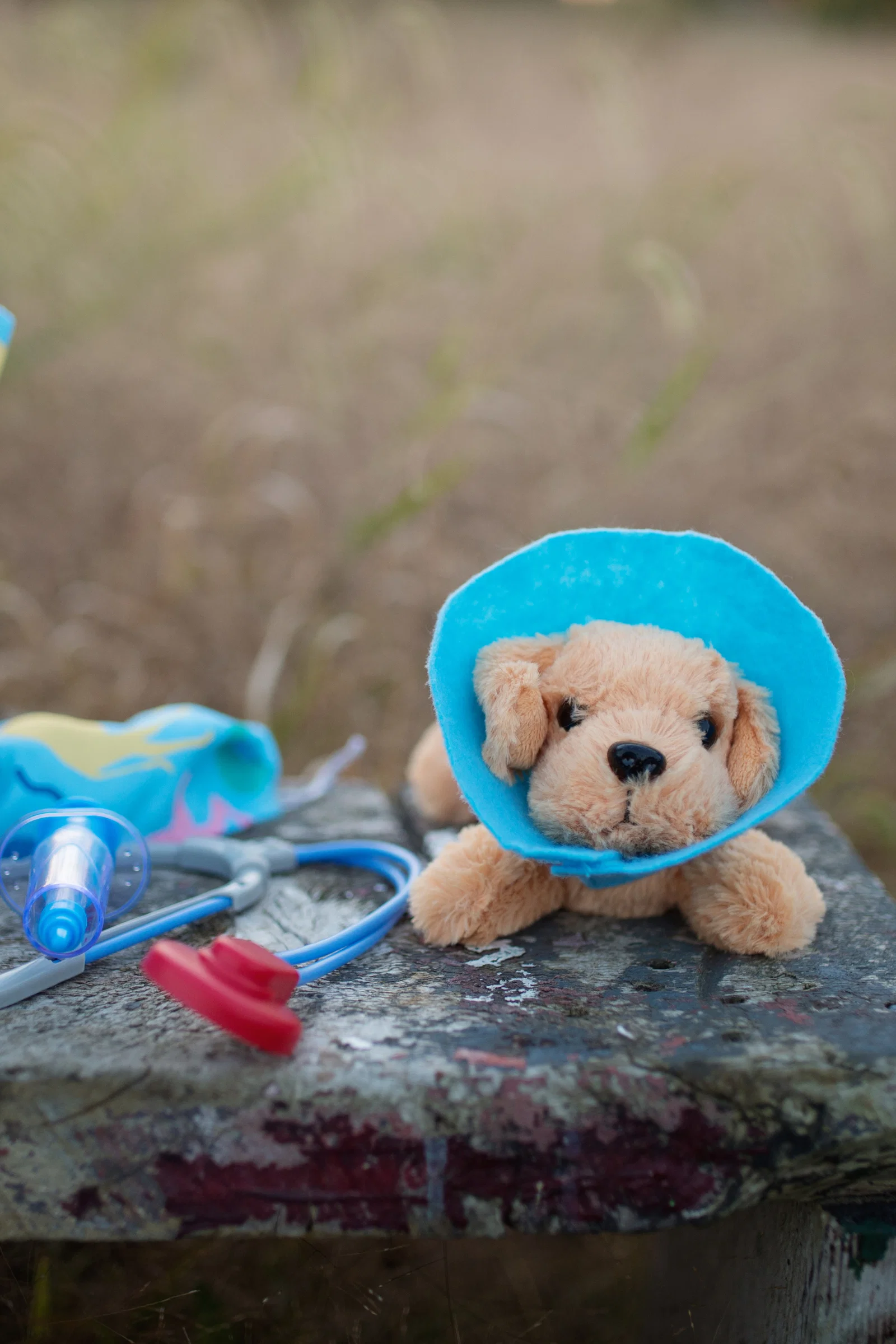 Veterinarian Scrubs with Accessories - Image 7